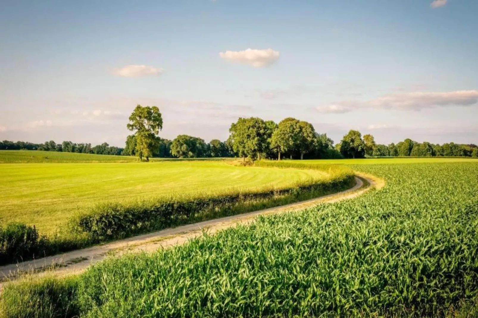 Vakantiepark Mölke 32-Areas within 20km in summer
