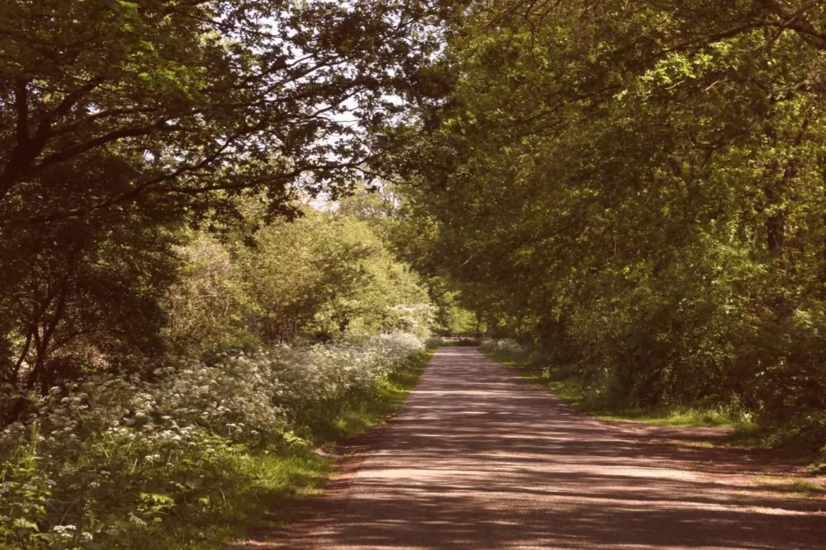 Vakantiecentrum 't Schuttenbelt 2-Gebiete Sommer 20 km