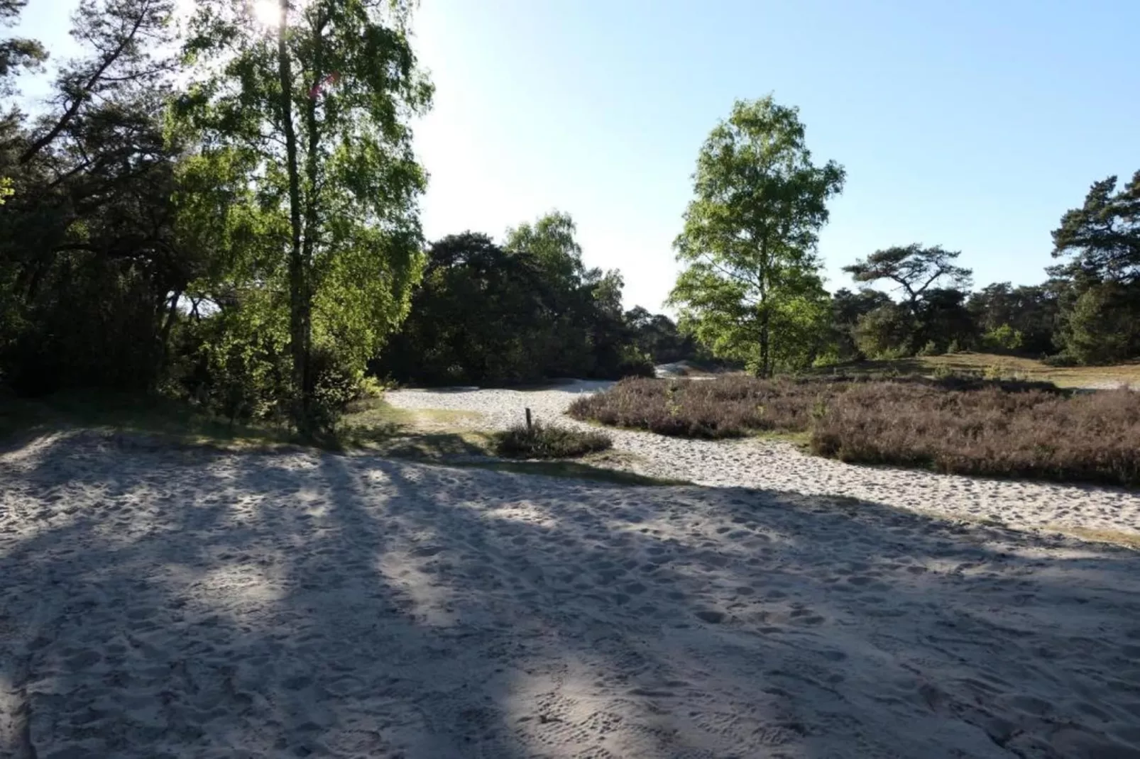 Recreatiepark Tolplas 1-Areas within 5km in summer