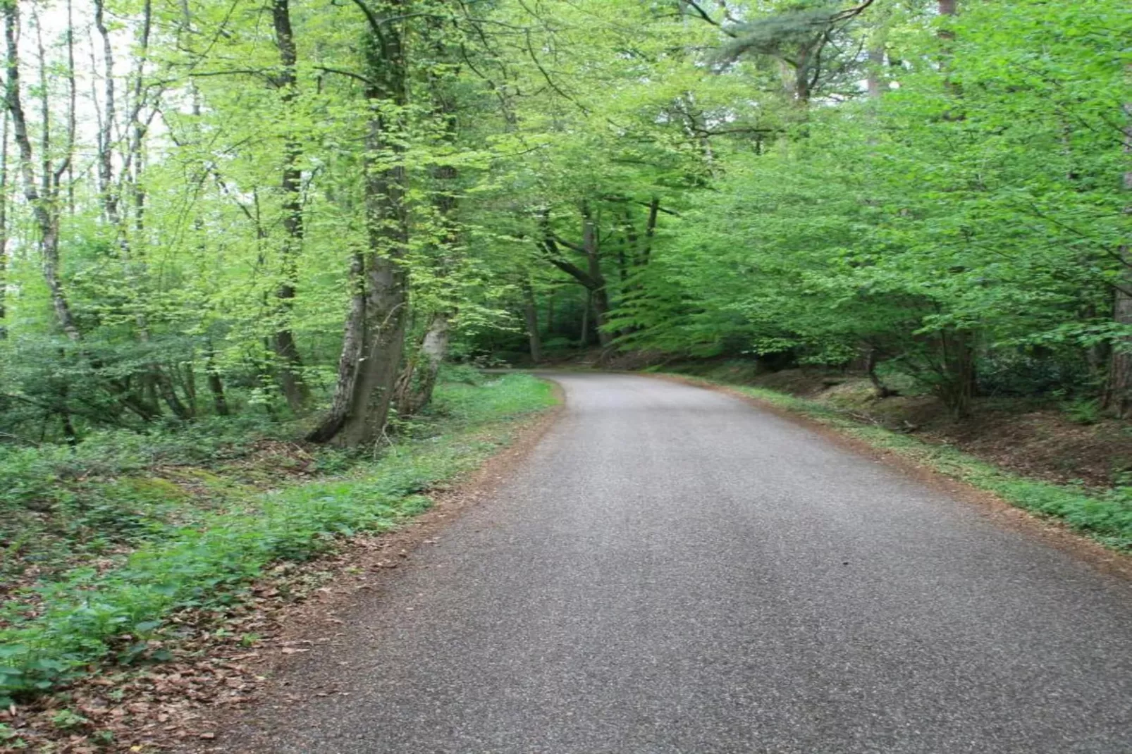 Chaletpark Kuiperberg 4-Areas within 5km in summer