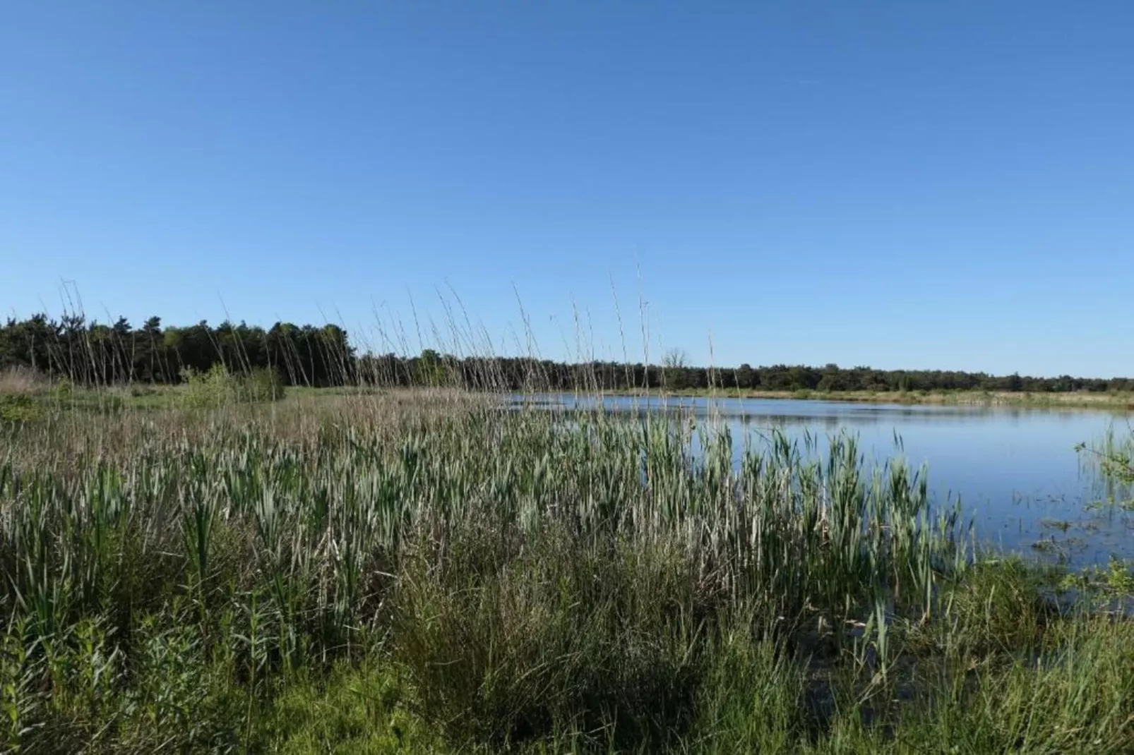 Recreatiepark Tolplas 11-Areas within 5km in summer