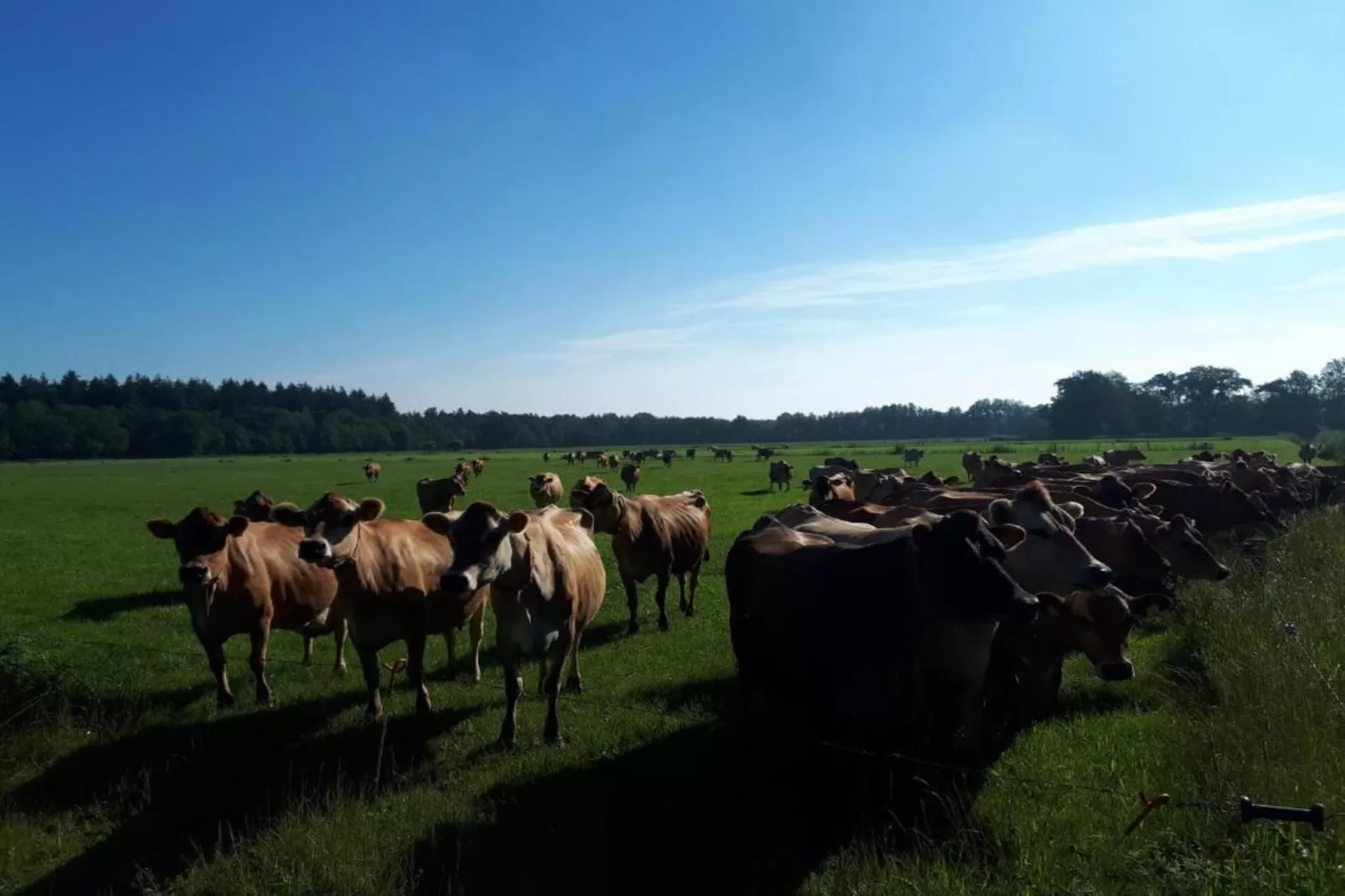 Buitenplaats Gerner 2-Zones été à 20 km