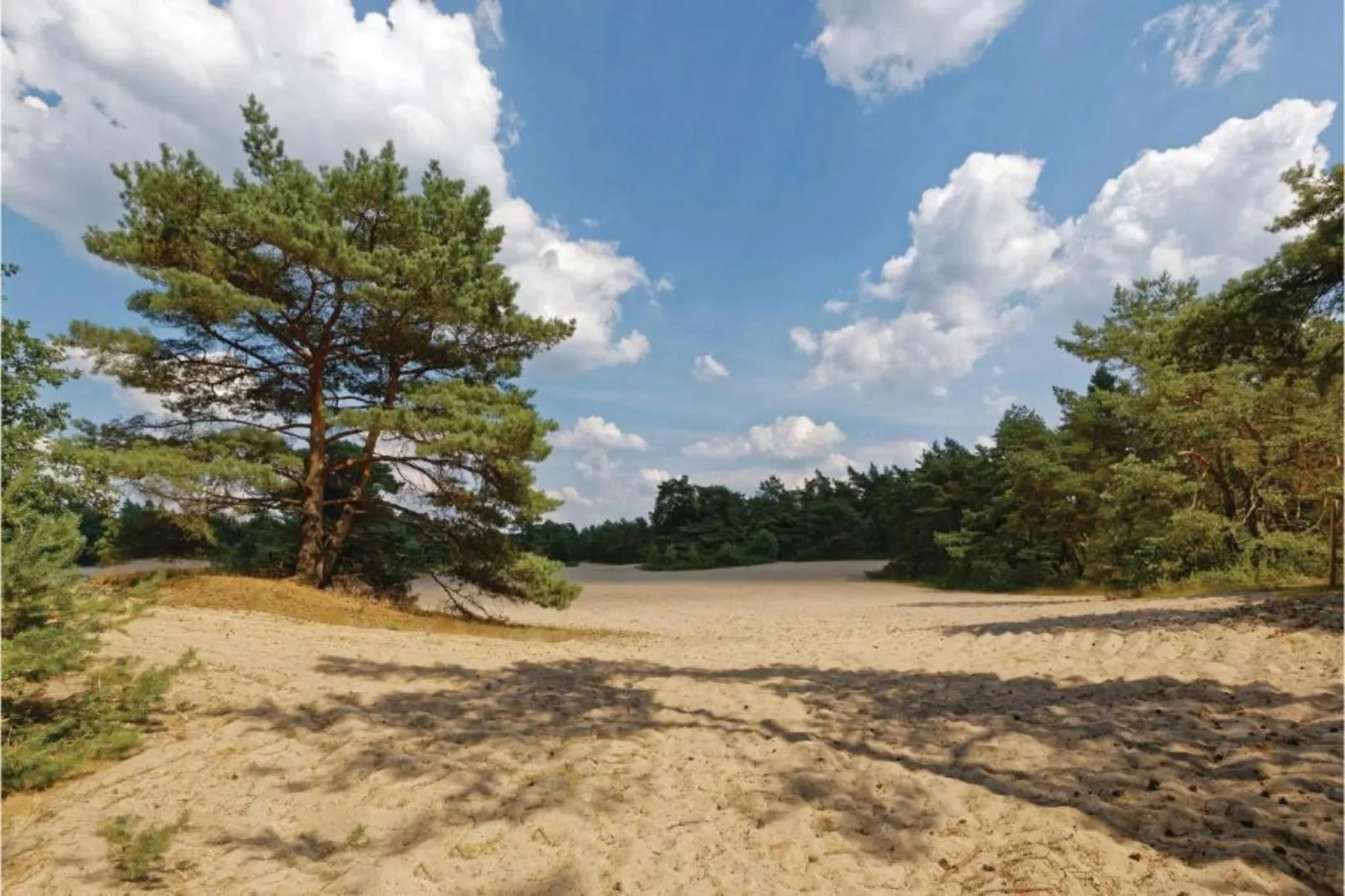 Bunderbos-Areas within 20km in summer