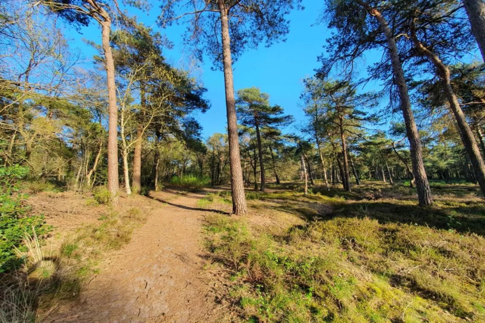 Vakantiepark de Vossenburcht 2-Areas within 20km in summer