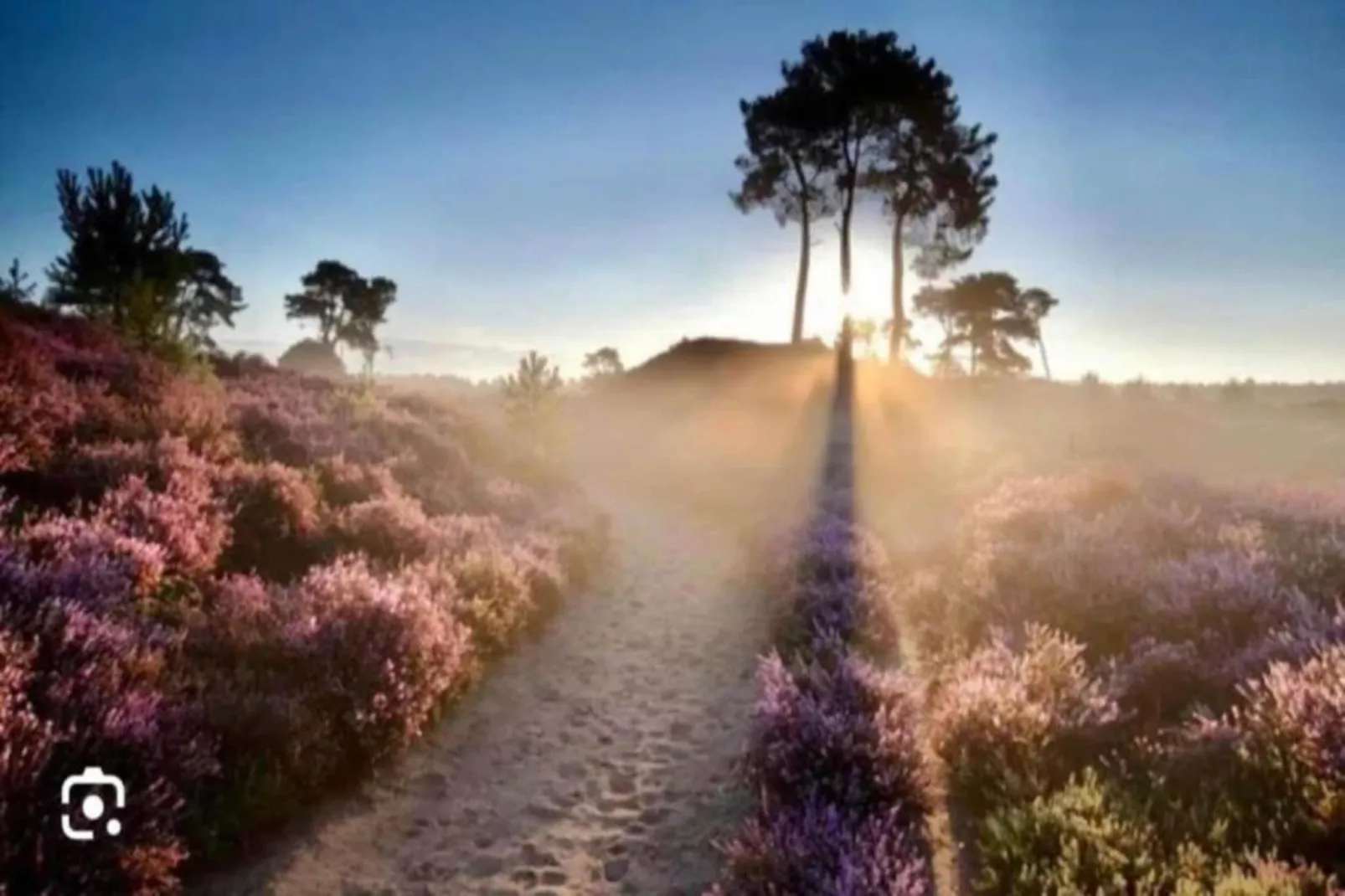 RCN Vakantiepark de Noordster 4-Gebiete Sommer 20 km