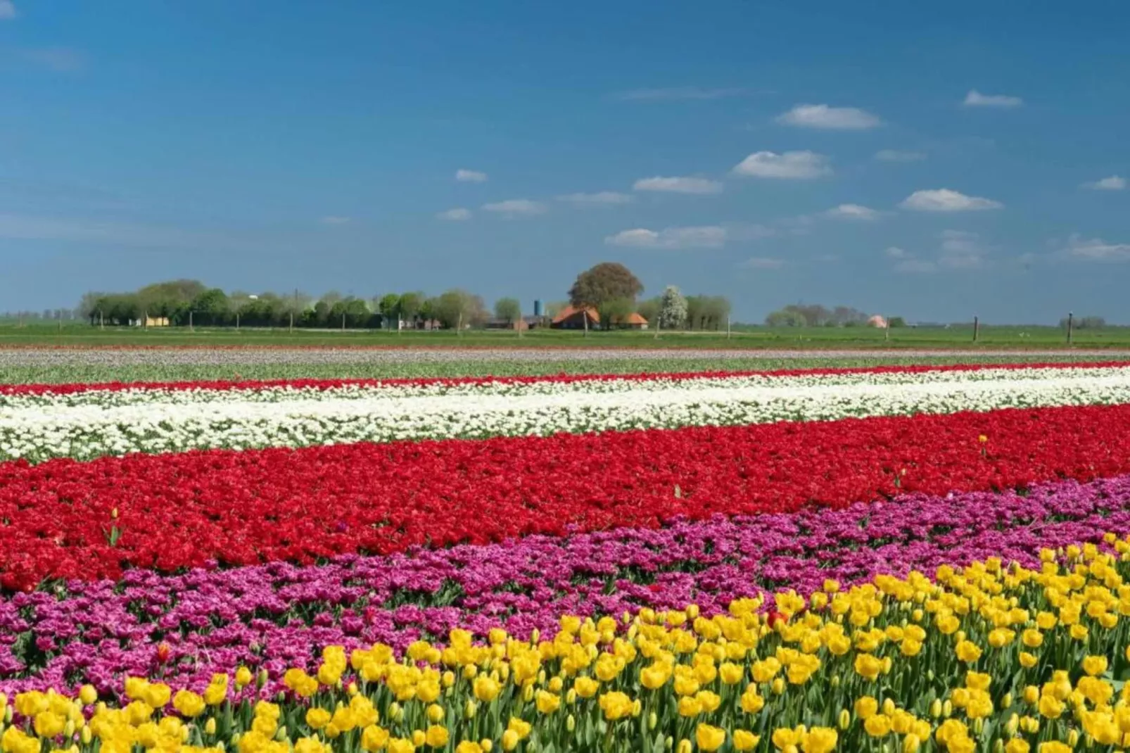 Vakantiepark Eigen Wijze 4-Zones été à 20 km
