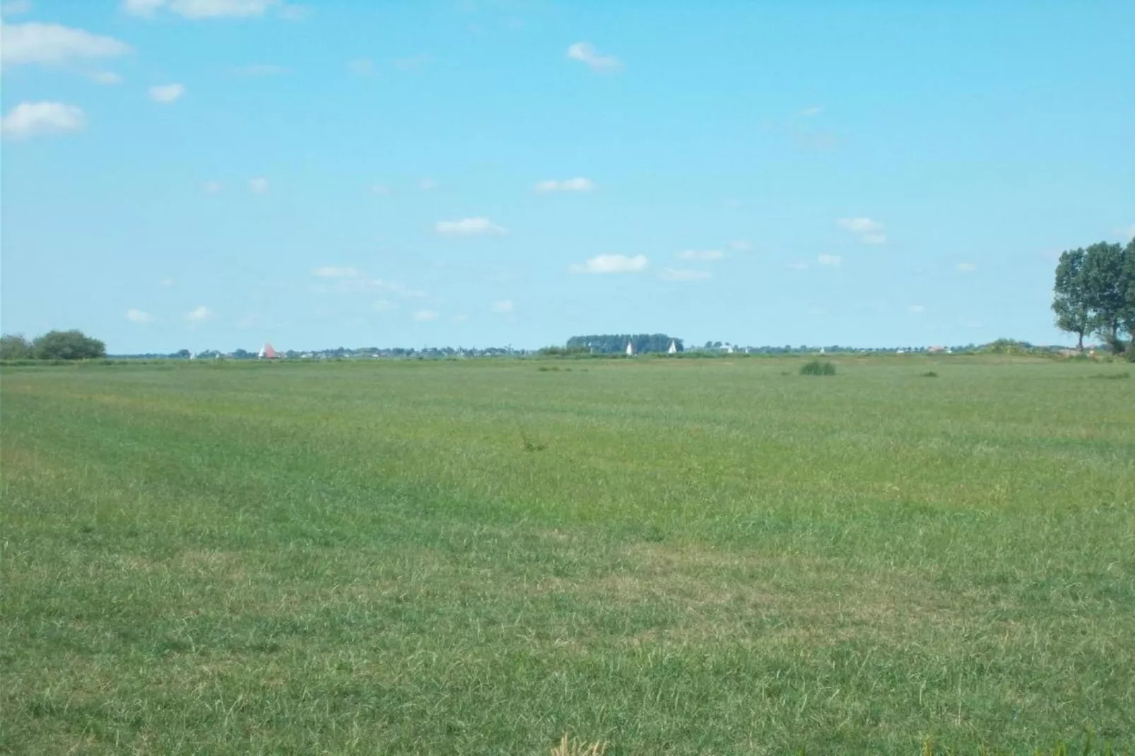 Huize Lewis-Areas within 5km in summer
