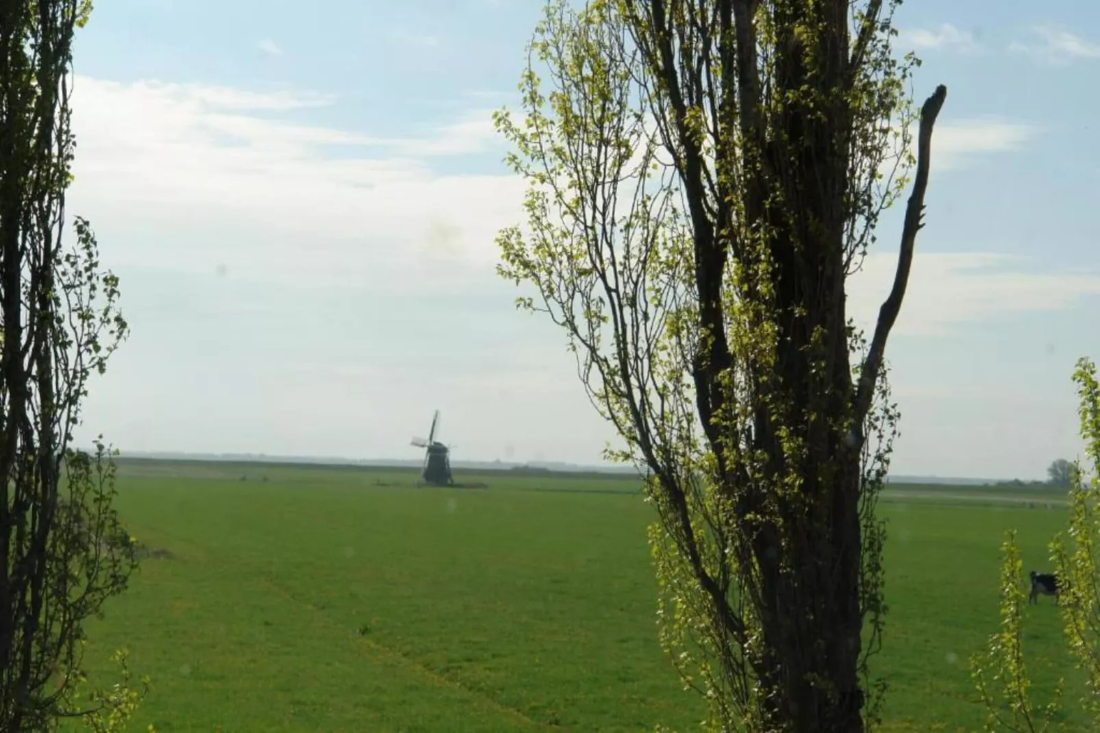 De Meerkoet-Areas within 5km in summer