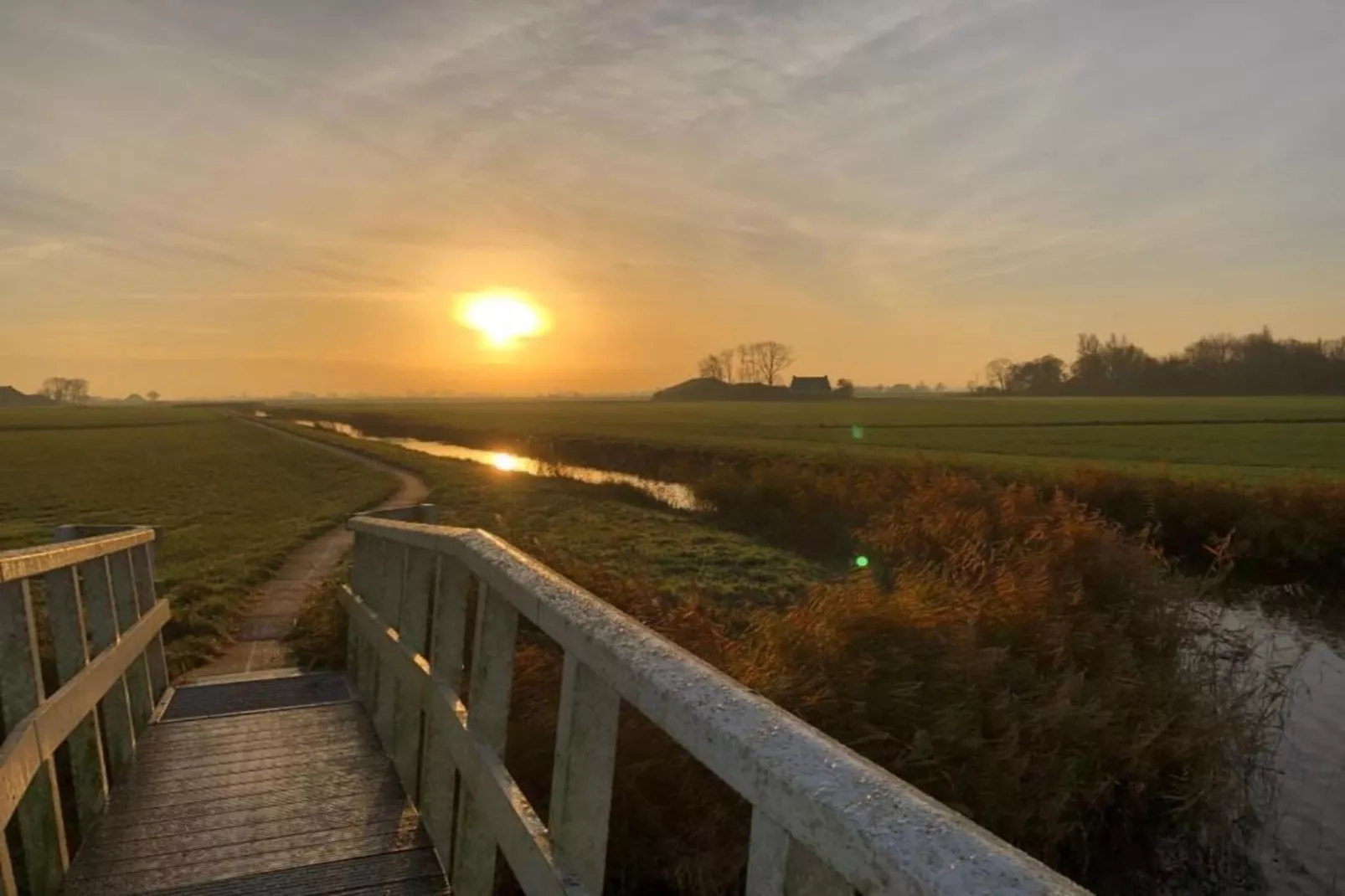 Pronkkeamer Skrins-Gebiete Sommer 5 km