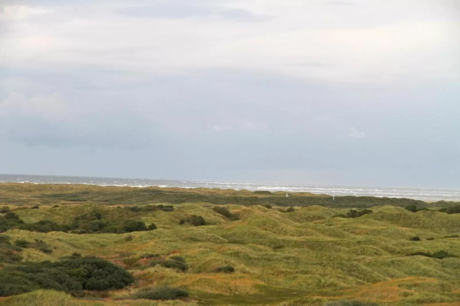 Vakantiepark Boomhiemke 13 - Areas within 20km in summer