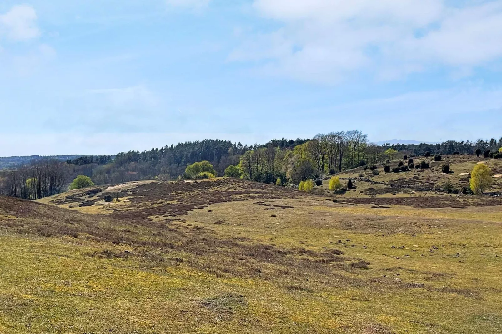2 person holiday home in Brösarp-By Traum-Not tagged