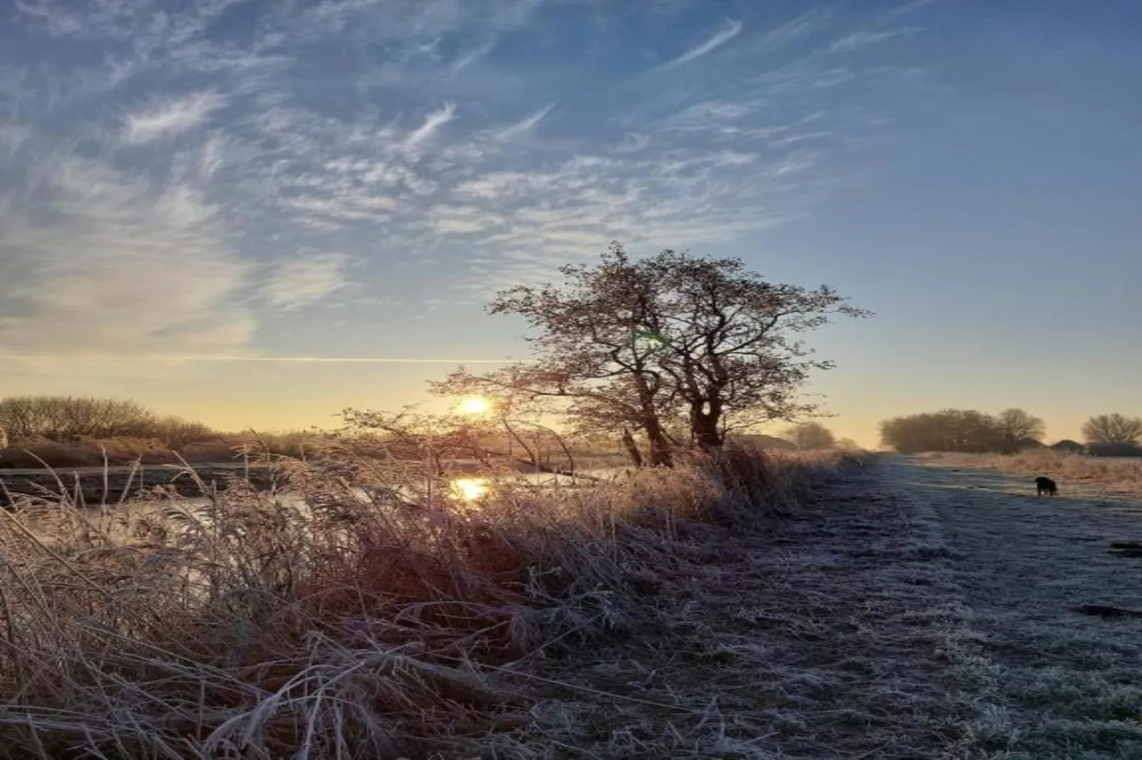 Chalet Klaske-Areas within 20km in summer