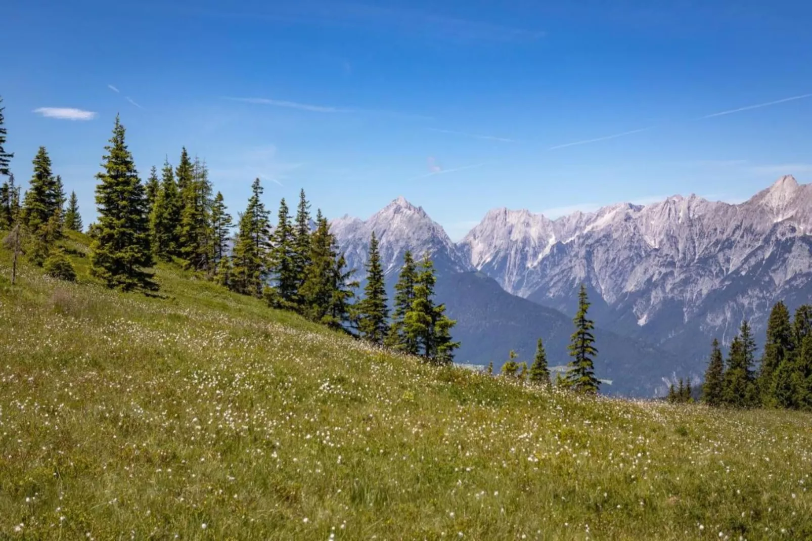 Thaler Hütte - Platzhirsch-Zones été à 20 km