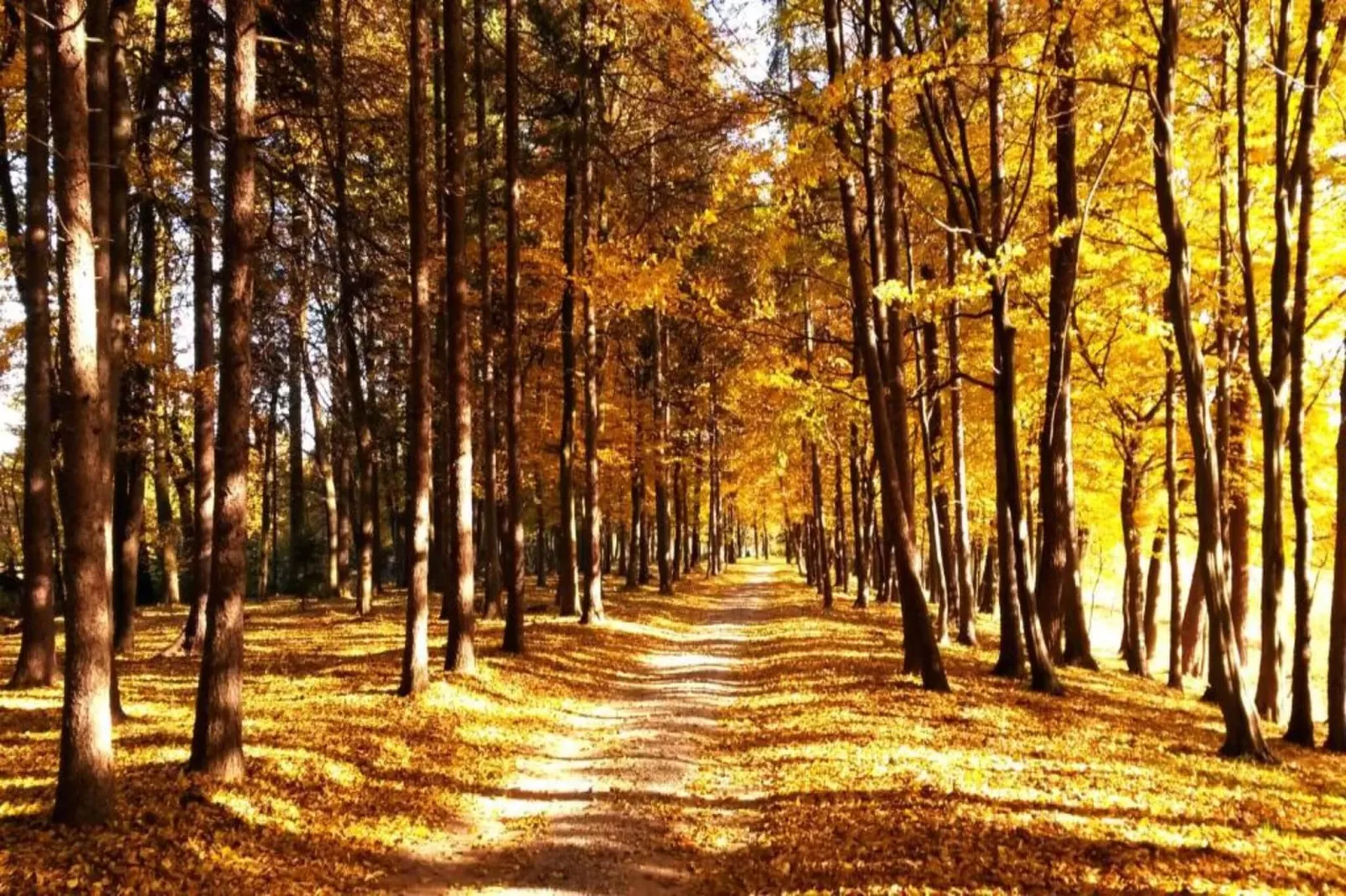 Villa Dobczyce-Gebiete Sommer 5 km