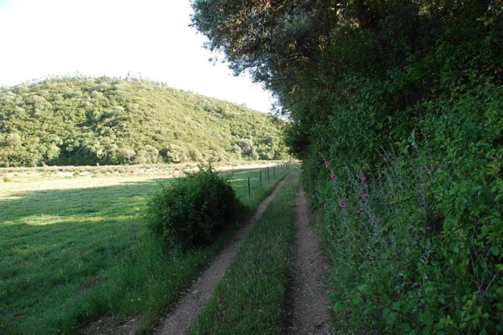 Casa da Adega-Zones été à 20 km
