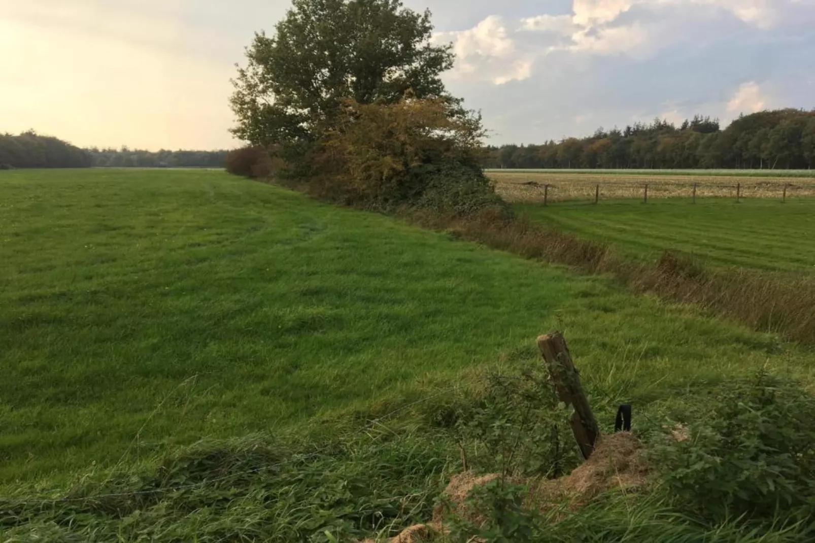 Recreatiepark Idskenhuizen 5-Areas within 20km in summer