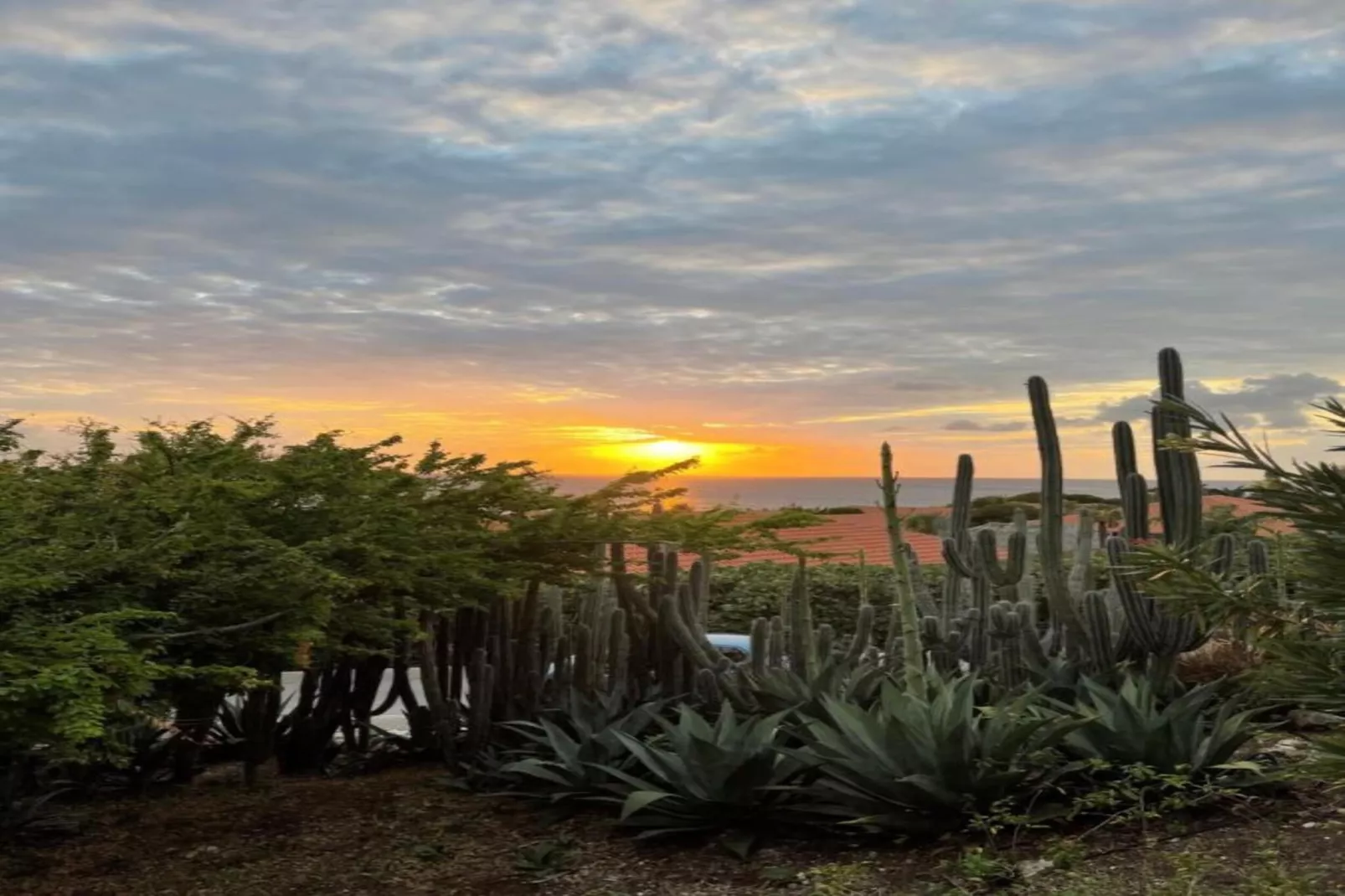 La Quinta Alida 8 pers Vista Royal-Areas within 20km in summer