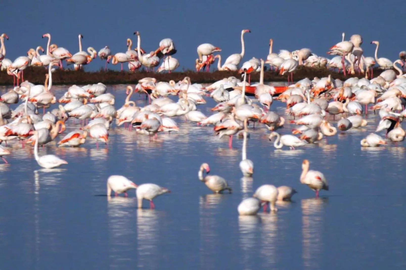 Case Mobili Mimosa-Zones été à 20 km