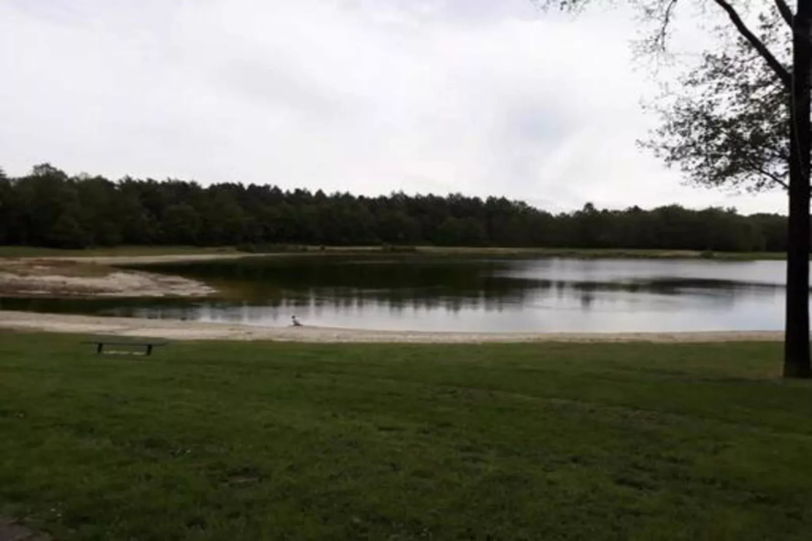 Villa Zonnewijzer-Gebiete Sommer 20 km