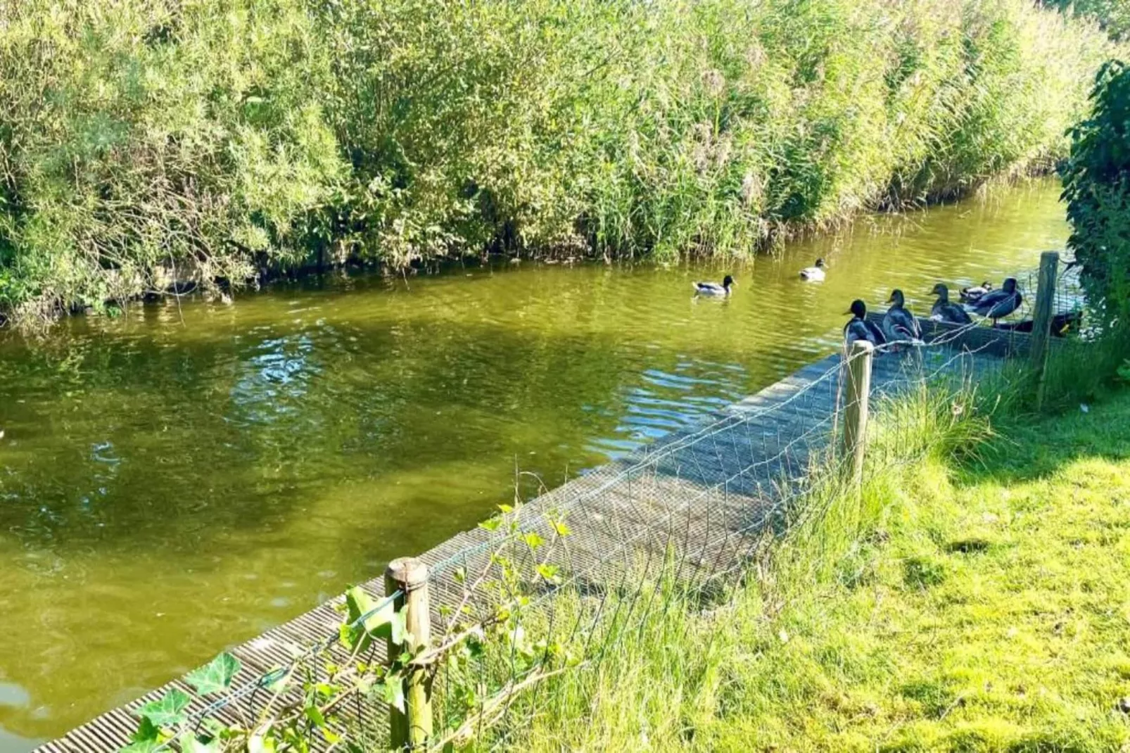 Vakantiepark Zeebad 13-Areas within 5km in summer