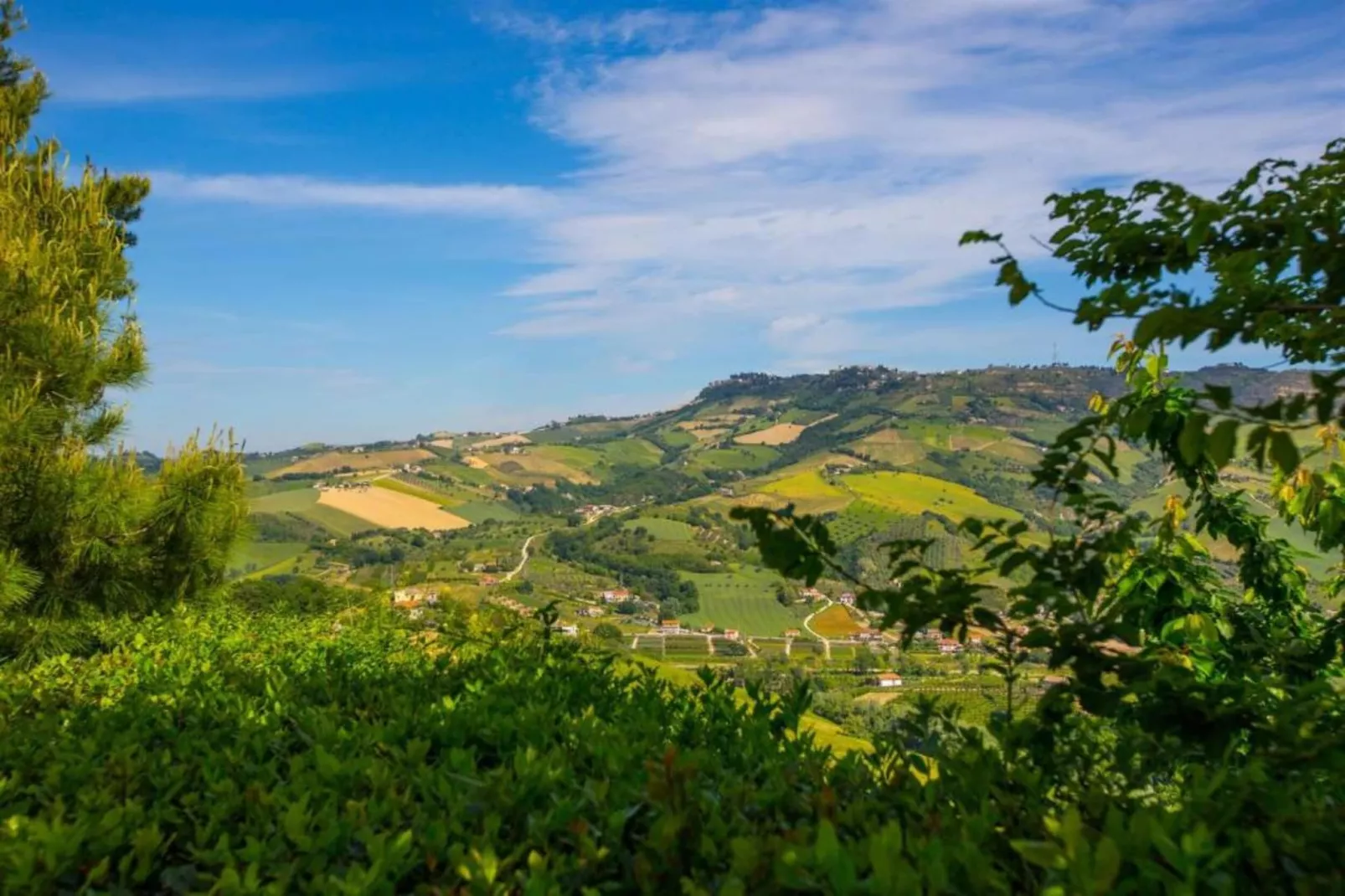 Giglio-Areas within 5km in summer