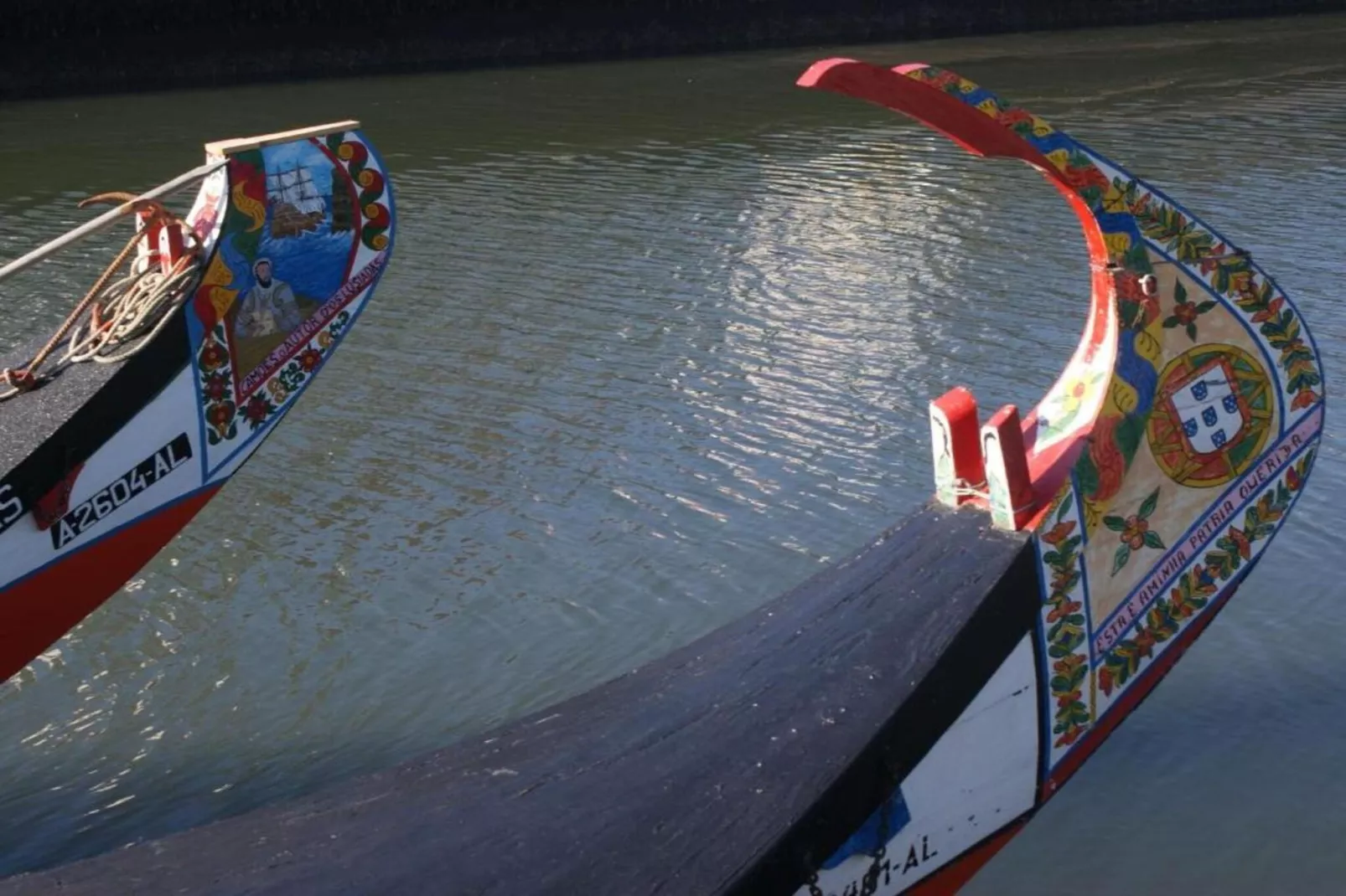 Casa Oliveirinha-Areas within 20km in summer