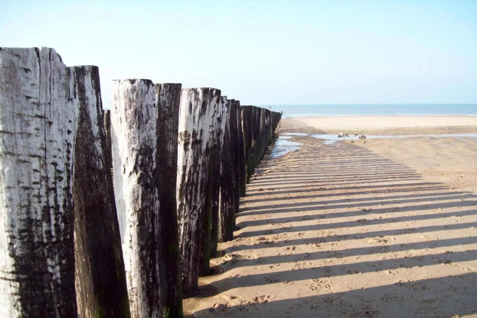 Harbour Loft 3C Residence Marina-Areas within 20km in summer