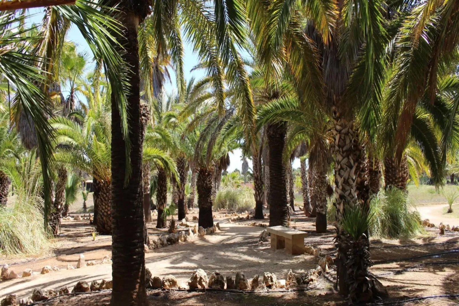 Can Xesquet-Areas within 5km in summer