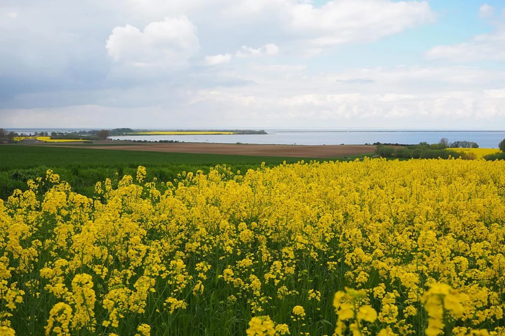 Bungalow Andrea am Salzhaff mit Garten-Zones été à 5 km