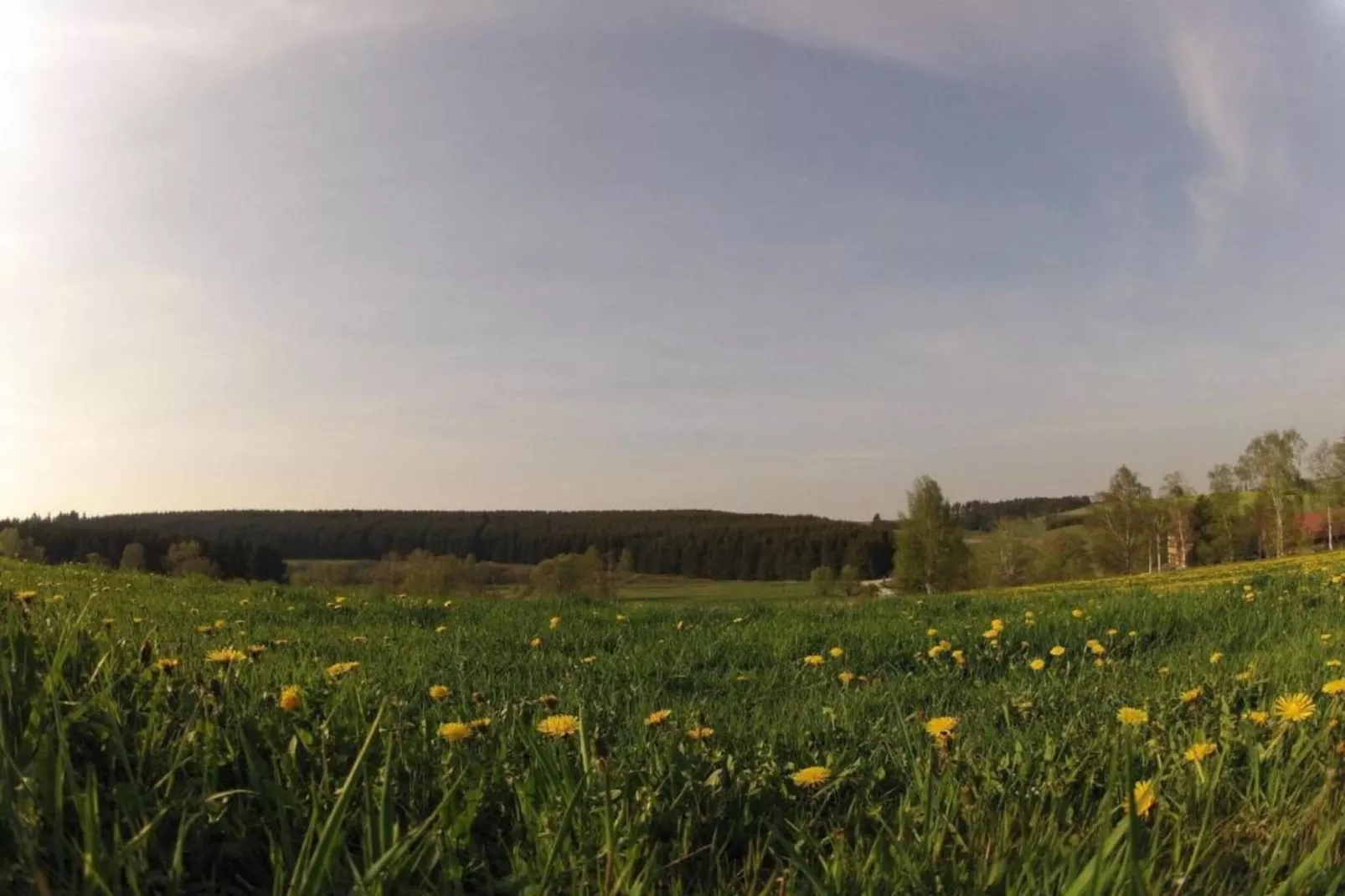 Ferienwohnung Goller im Vogtland/Sachsen-Zones été à 20 km