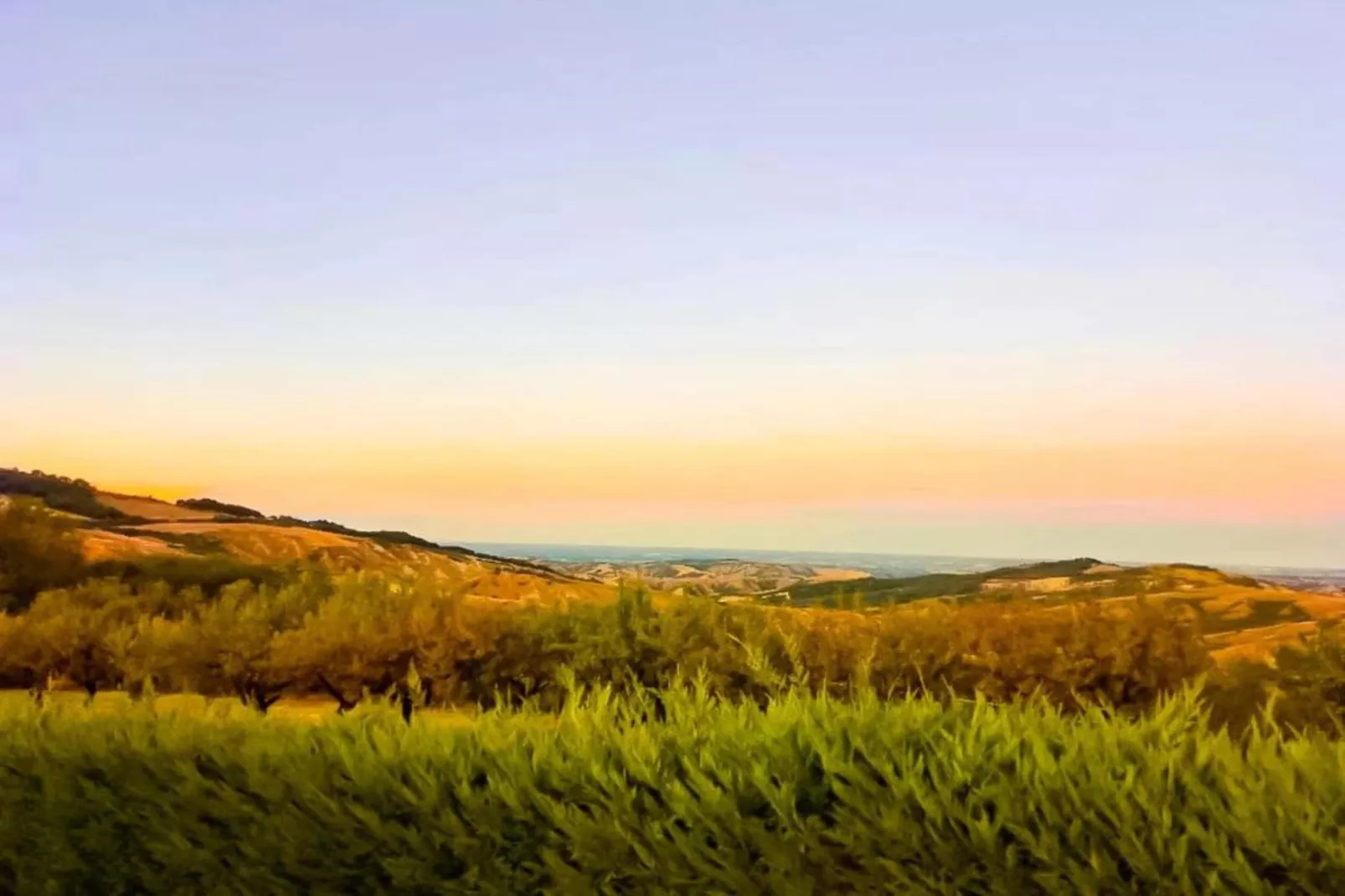 Appartamento Le Rondini-Areas within 5km in summer