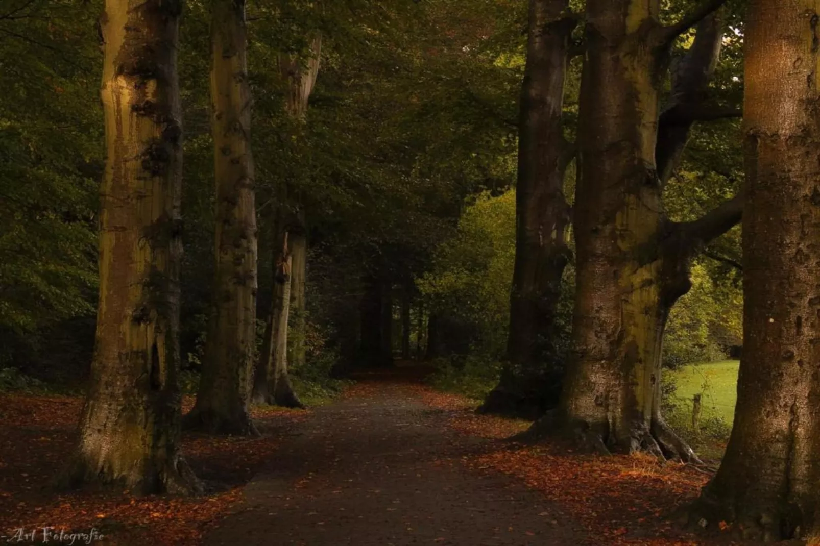 Hulshorsterhout-Areas within 20km in summer