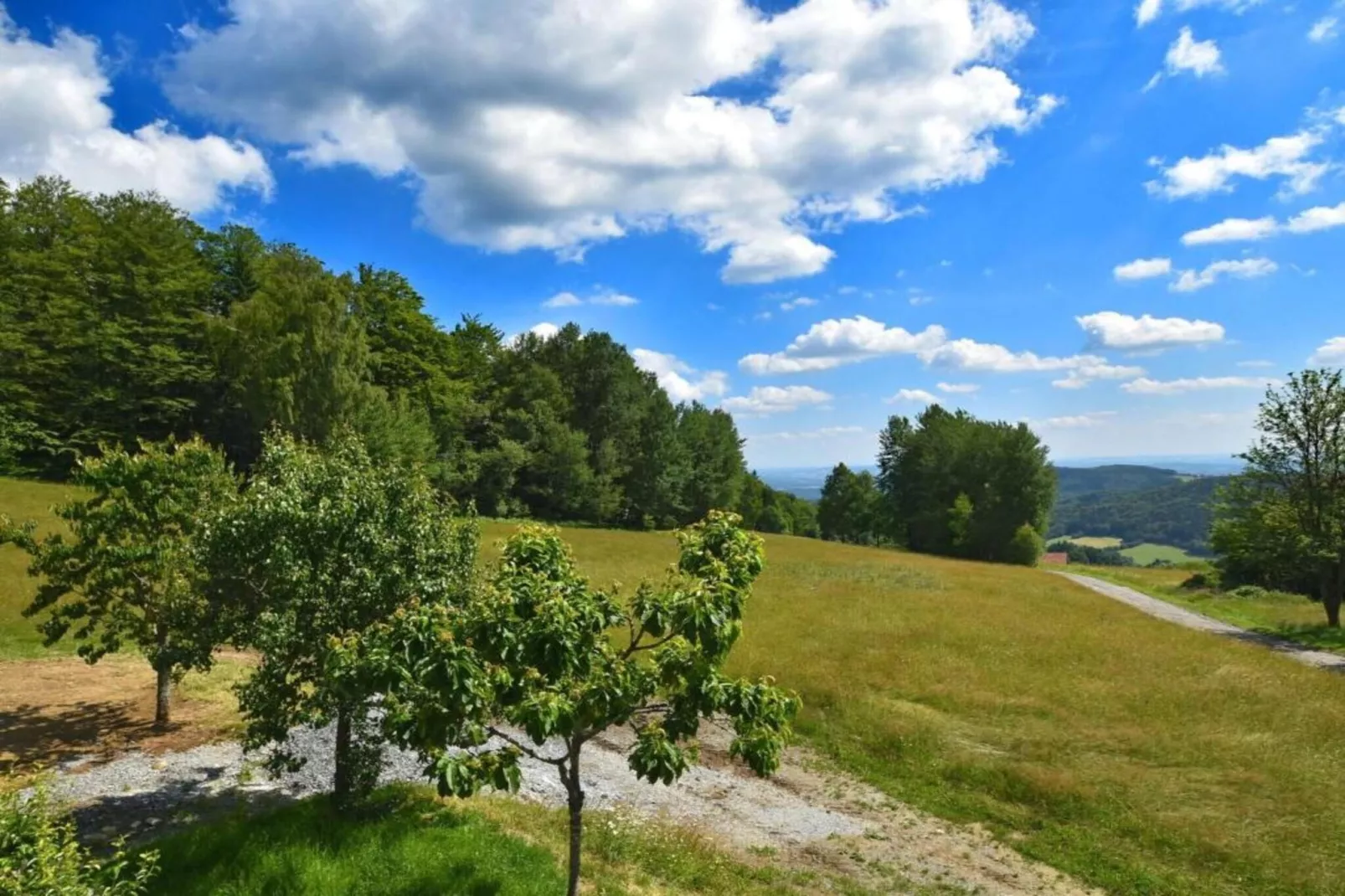 Holiday flats Haus am Wald Zenting-Wohnung für 4 Personen 56 qm-Areas within 20km in summer
