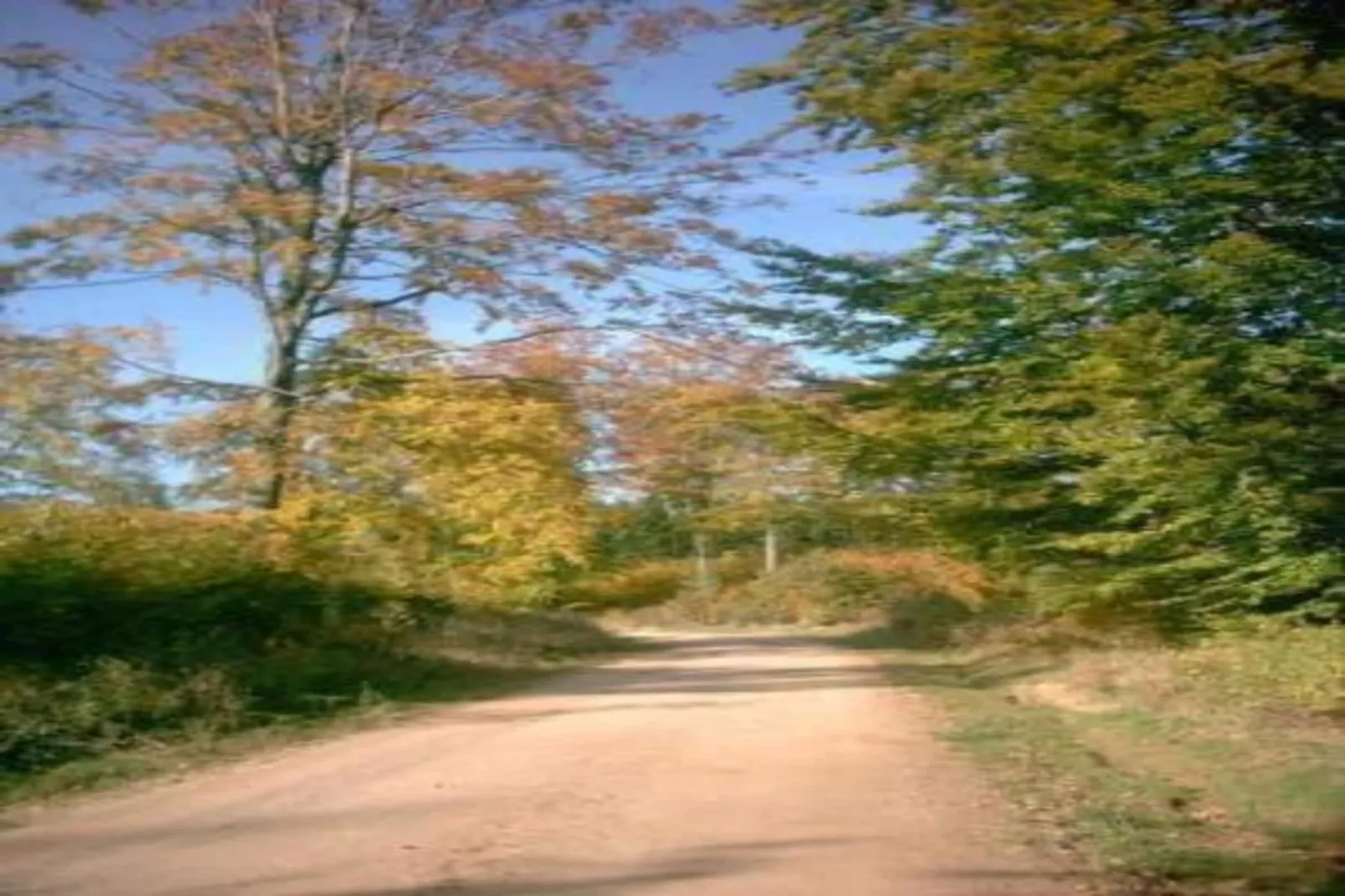 Thale-Zones été à 20 km