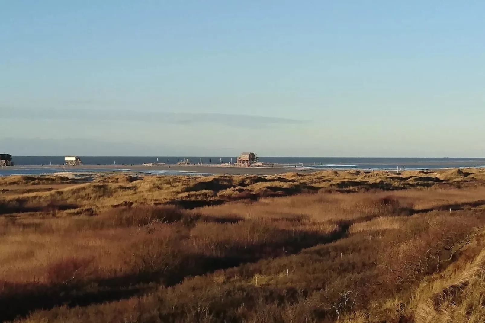 Strandperle-Areas within 5km in summer