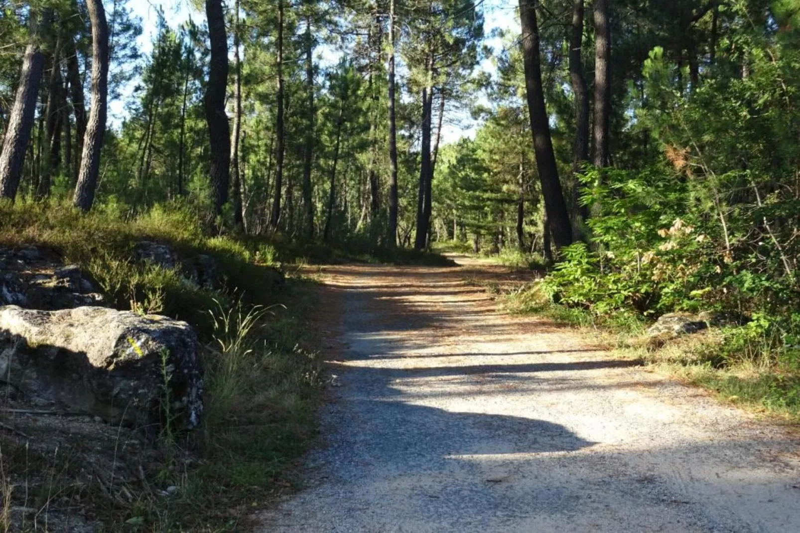 LA BOSCALIERE/ CHABROUD-Zones été à 20 km