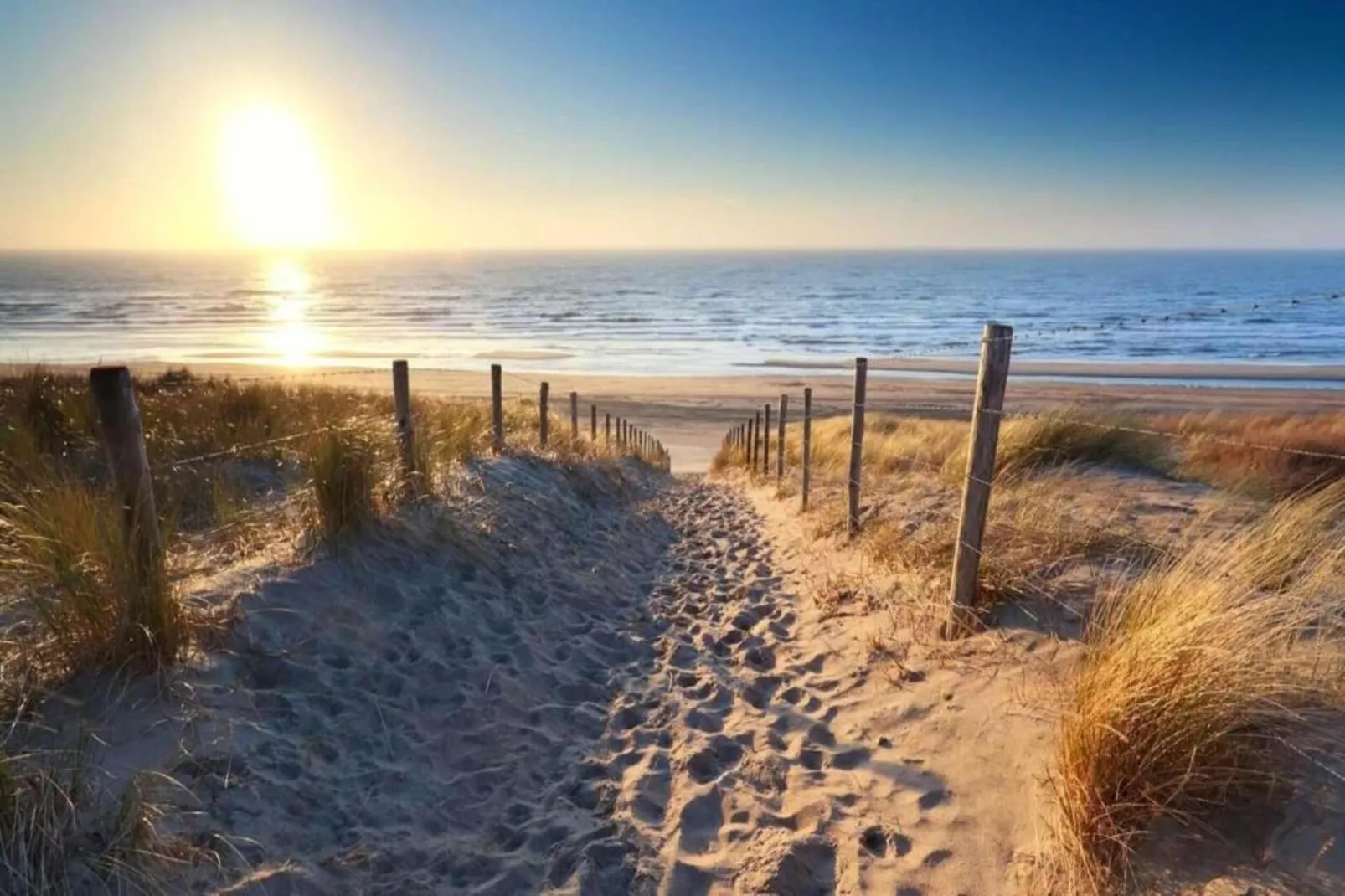 Vakantiepark Duinzicht 5-Zones été à 20 km