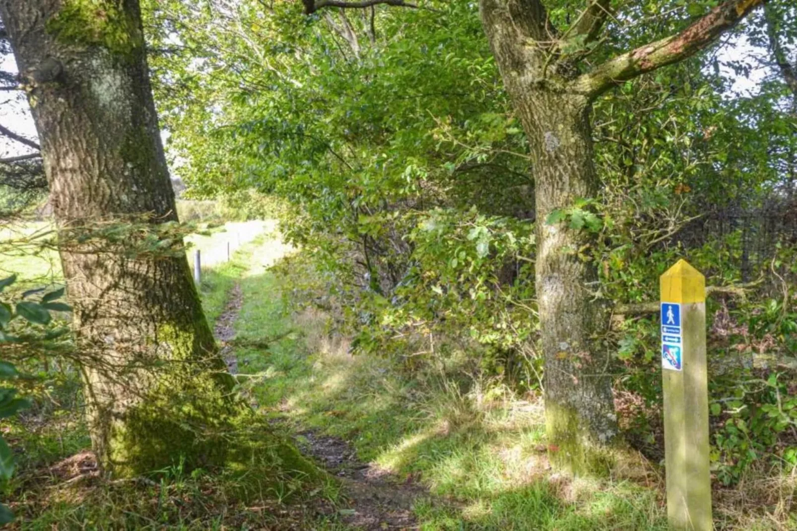 6 person holiday home in Hovborg-By Traum