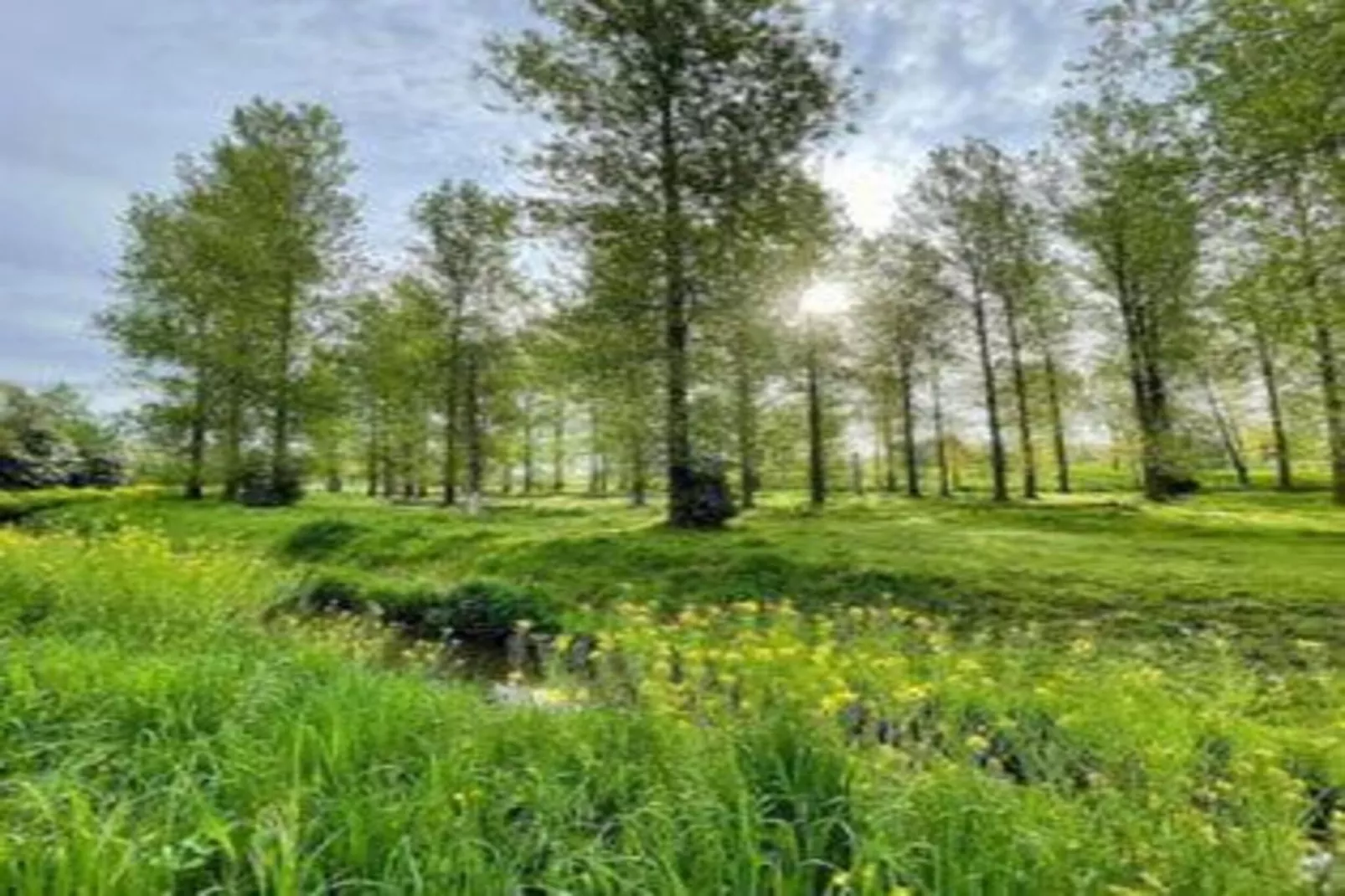 MM Nature-Areas within 20km in summer