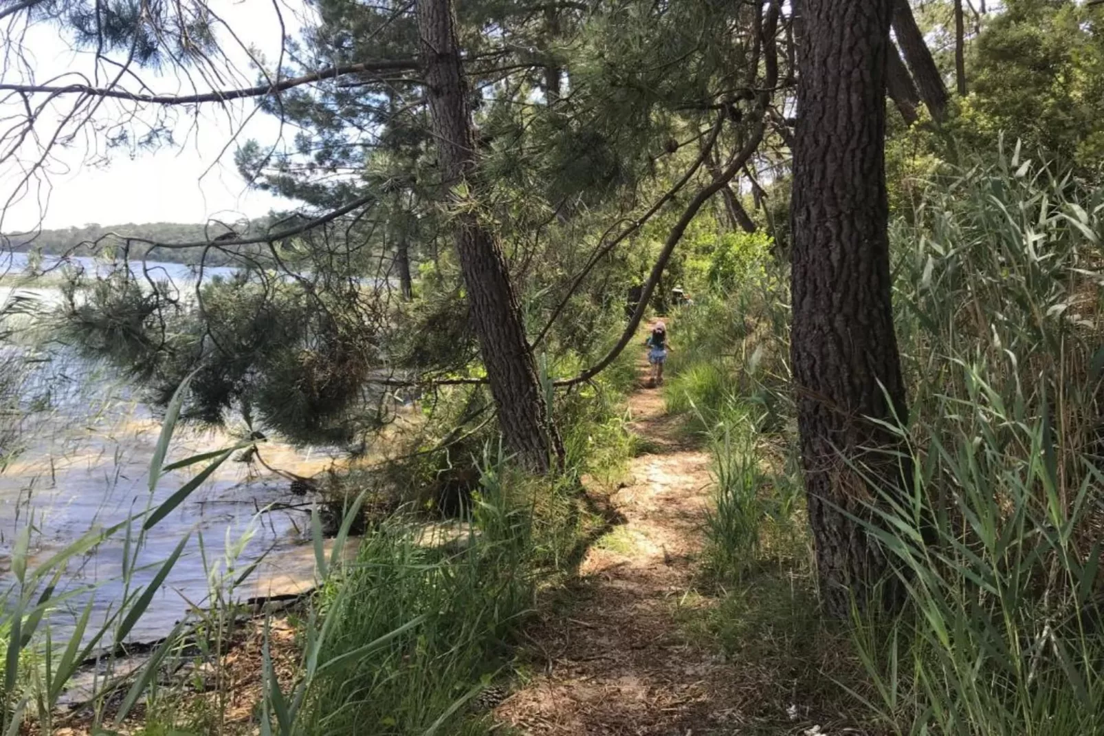 Résidence Le Petit Pont 3-Zones été à 1 km