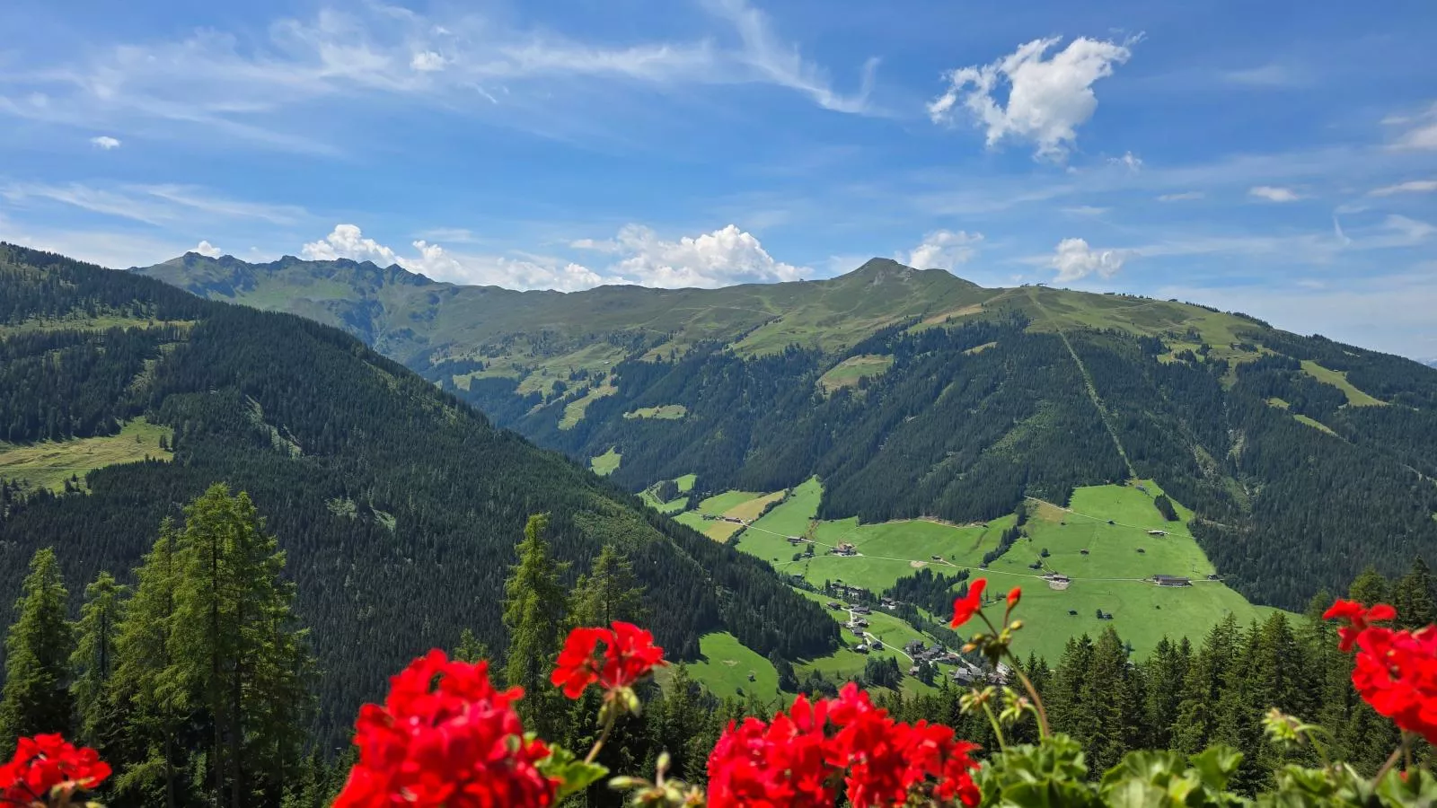 EAGGA-Niederleger Alm-Vue d'été