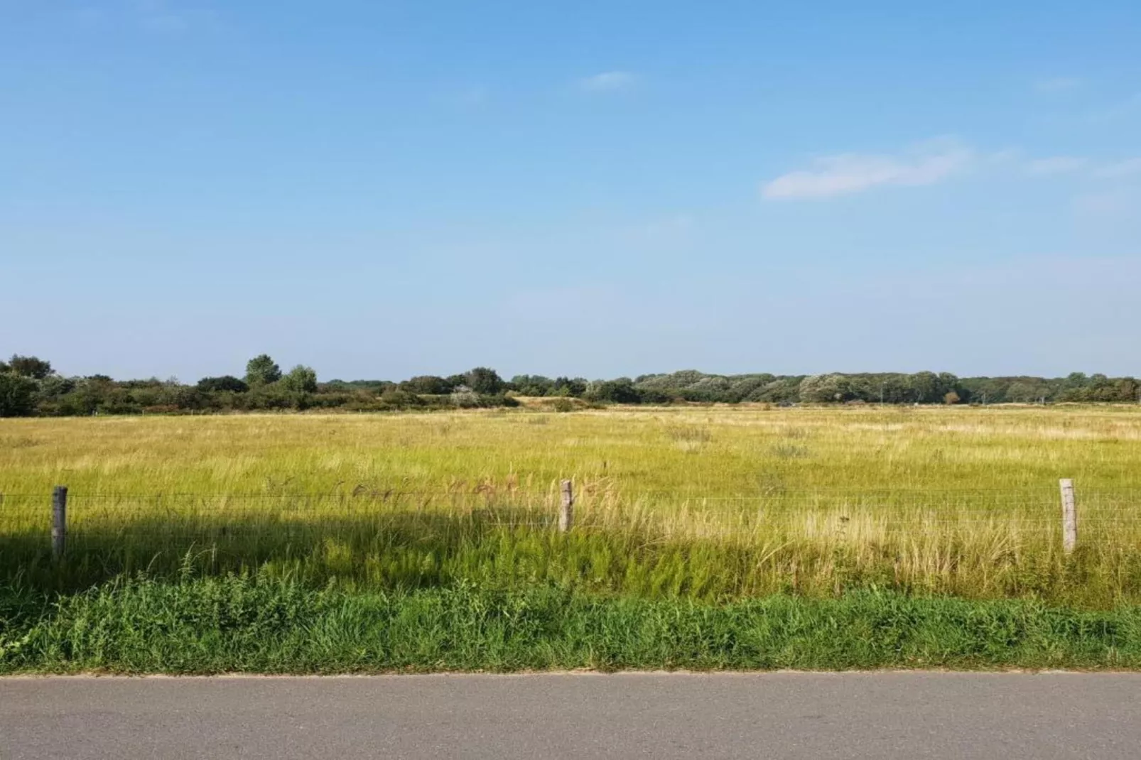 Bungalowpark Campanula 4-Gebiete Sommer 20 km