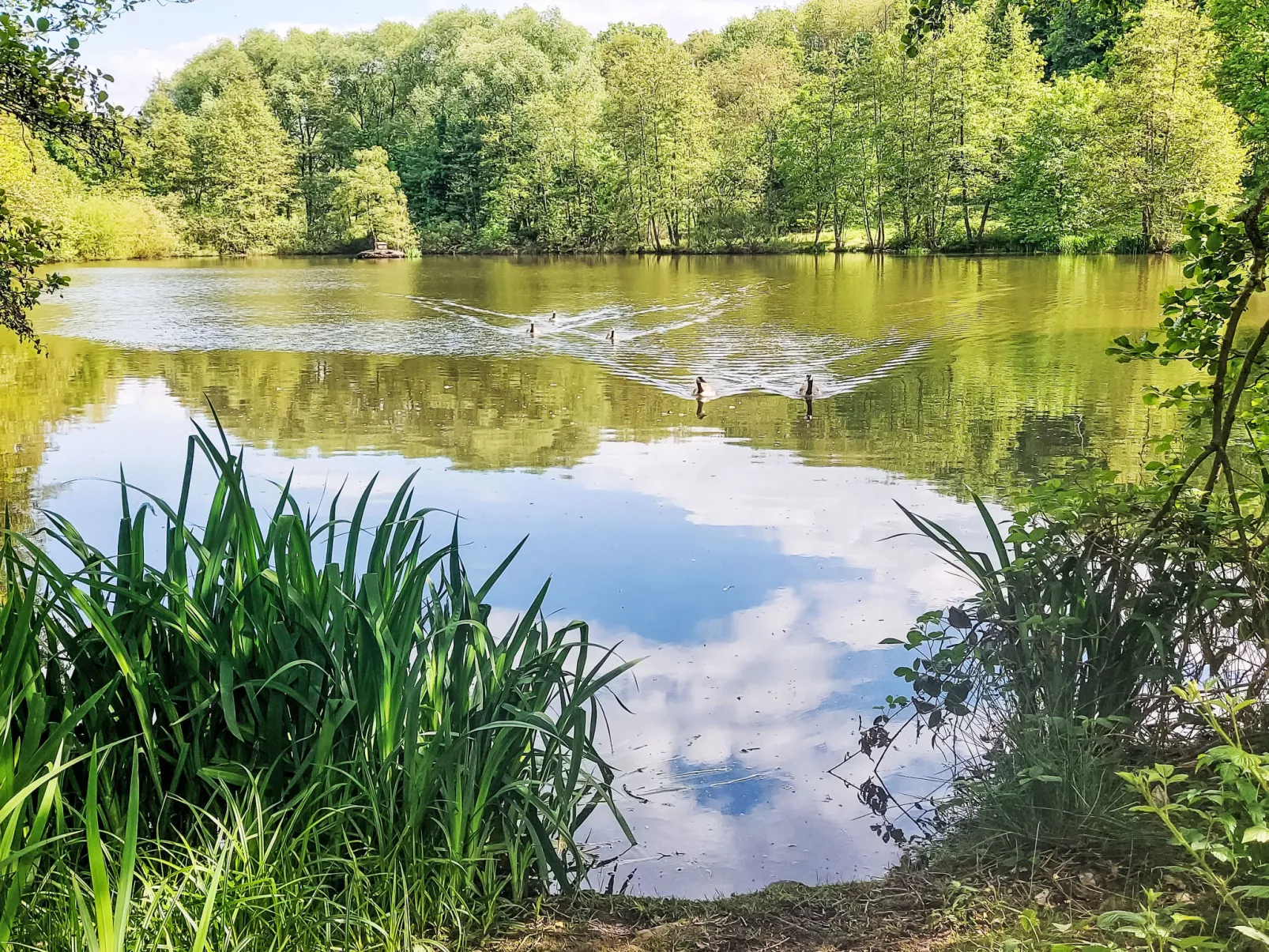 Smuk-Dehors