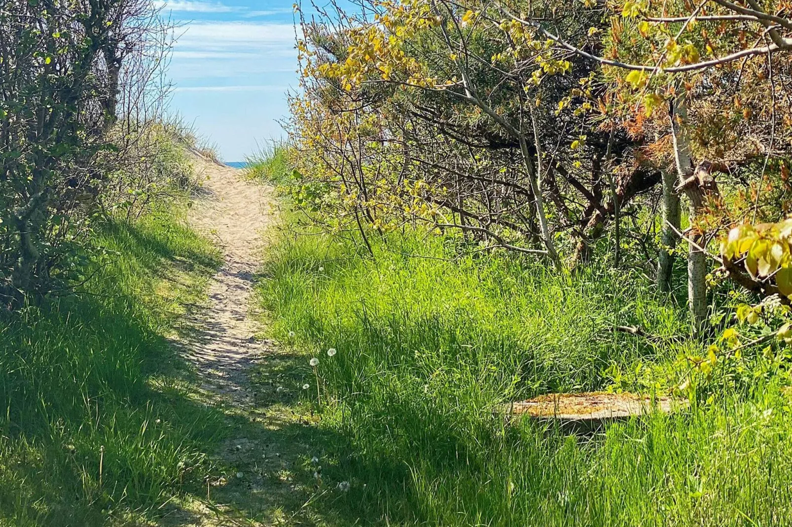 Maison de vacances pour 5 a Båstad-By Traum-Non tagué