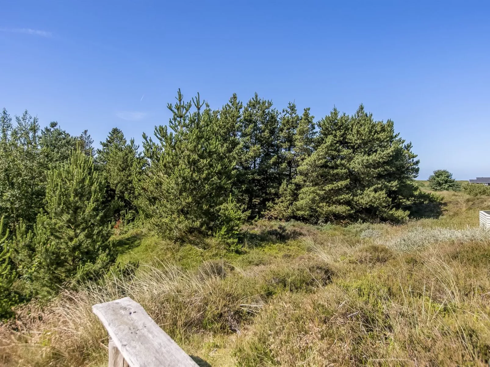 "Bruna" - 2km from the sea-Dehors