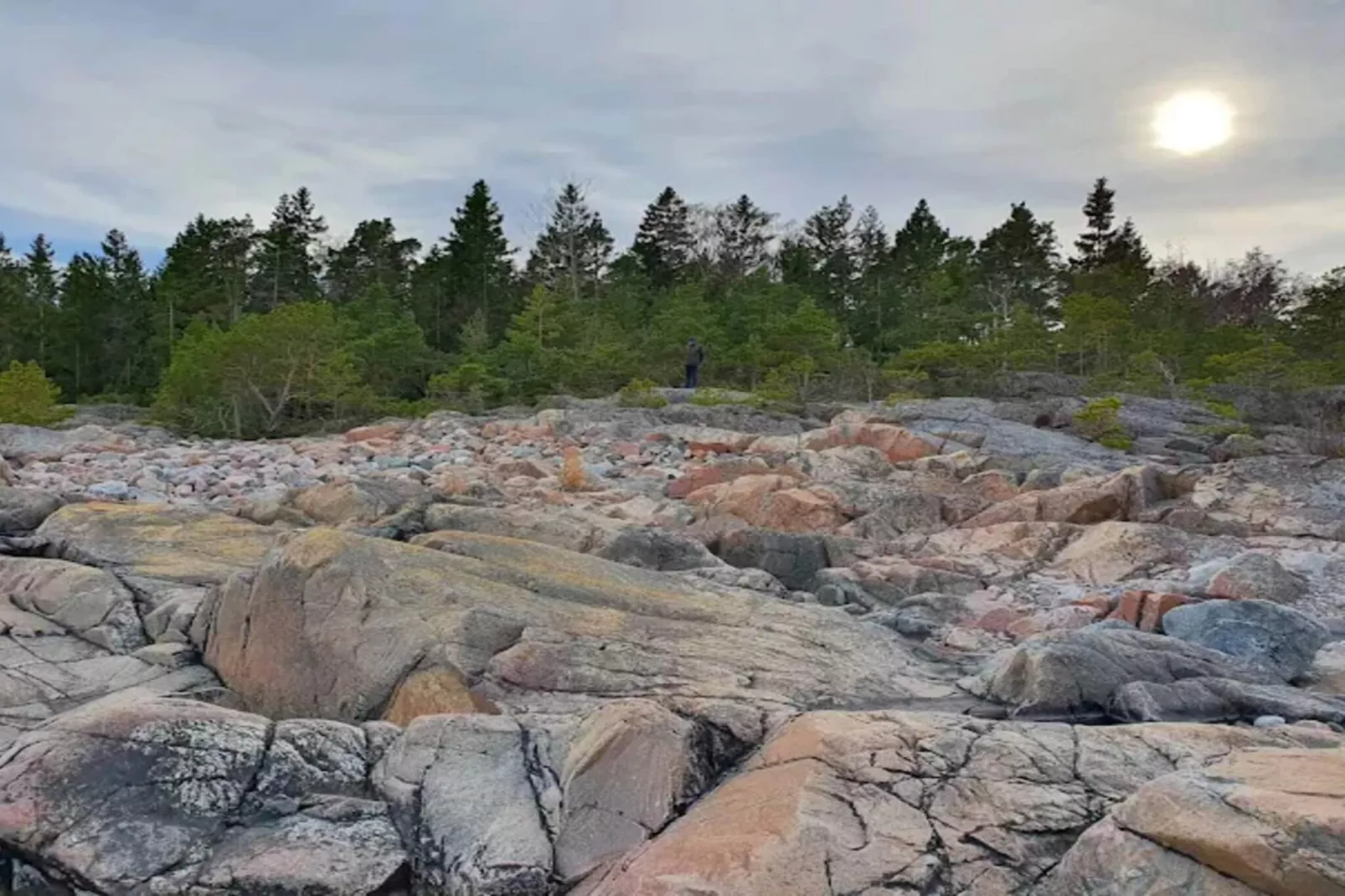 7 person holiday home in GRISSLEHAMN-By Traum-Untagged