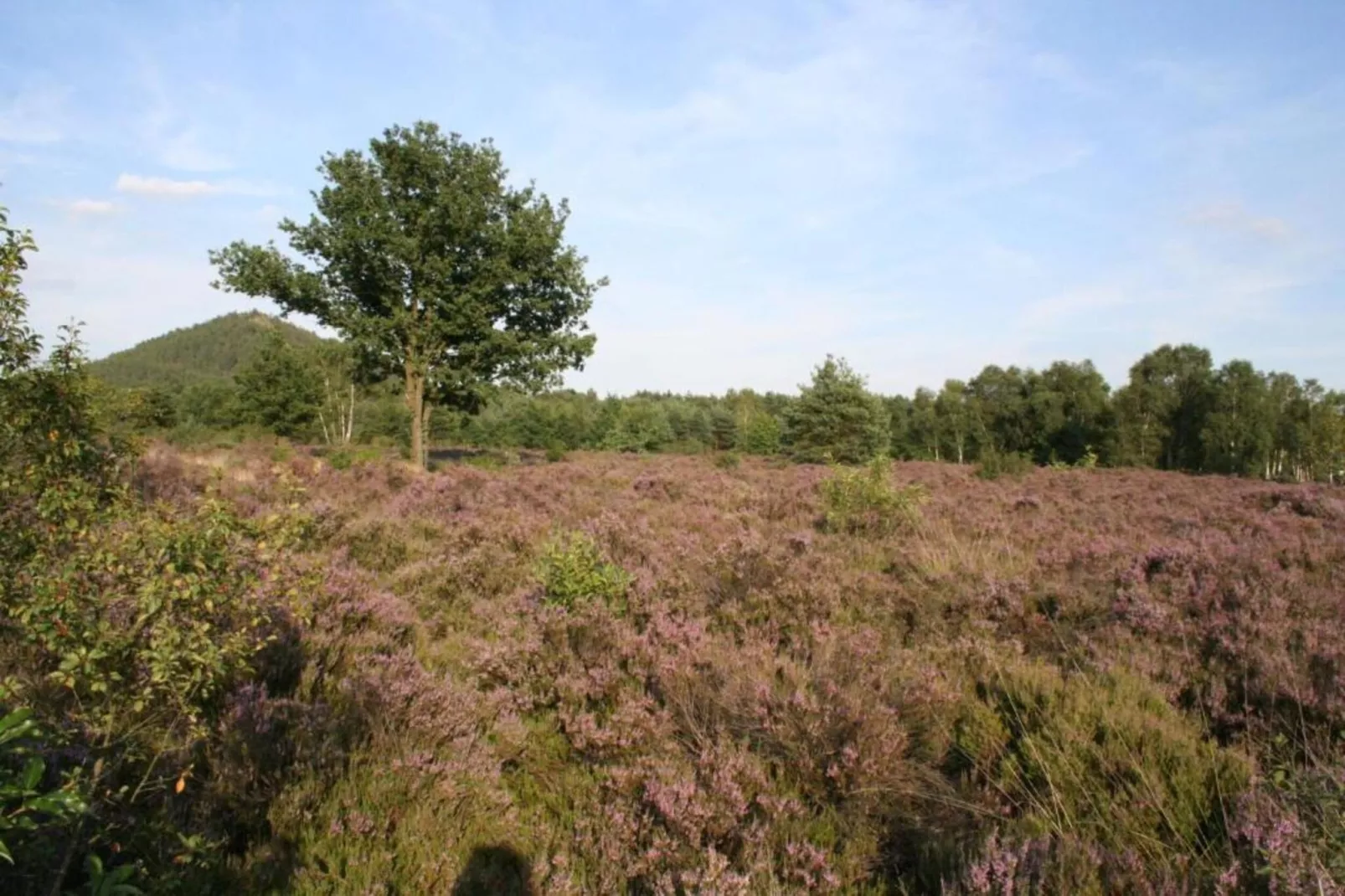 Hengelhoef-Zones été à 20 km