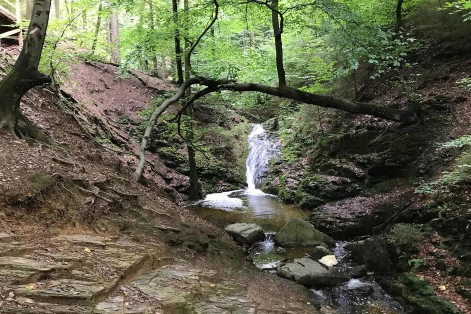 Le Vieux Chene-Gebiete Sommer 20 km