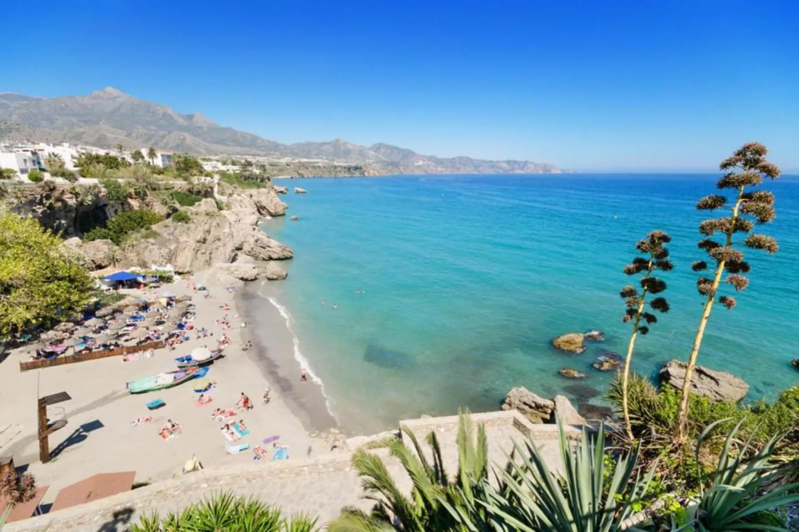 La Zenaida IV-Areas within 20km in summer