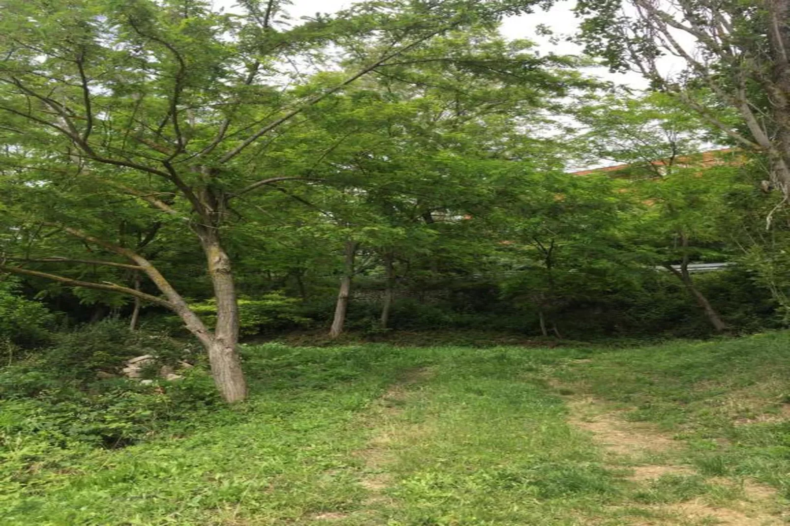 Piano Giardino-Areas within 20km in summer
